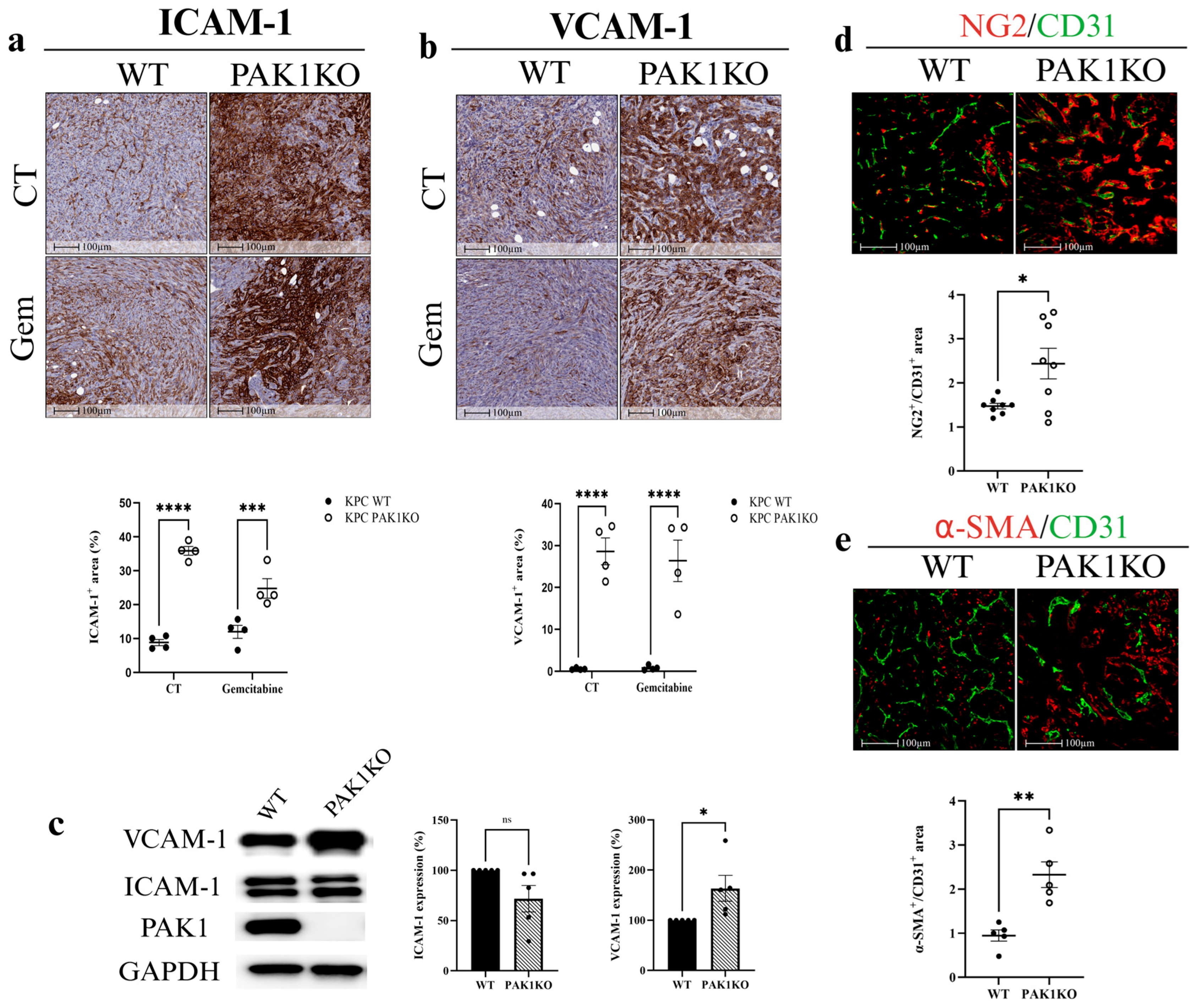 Cancers 17 03434 g002 Cancers 17 03434 g002