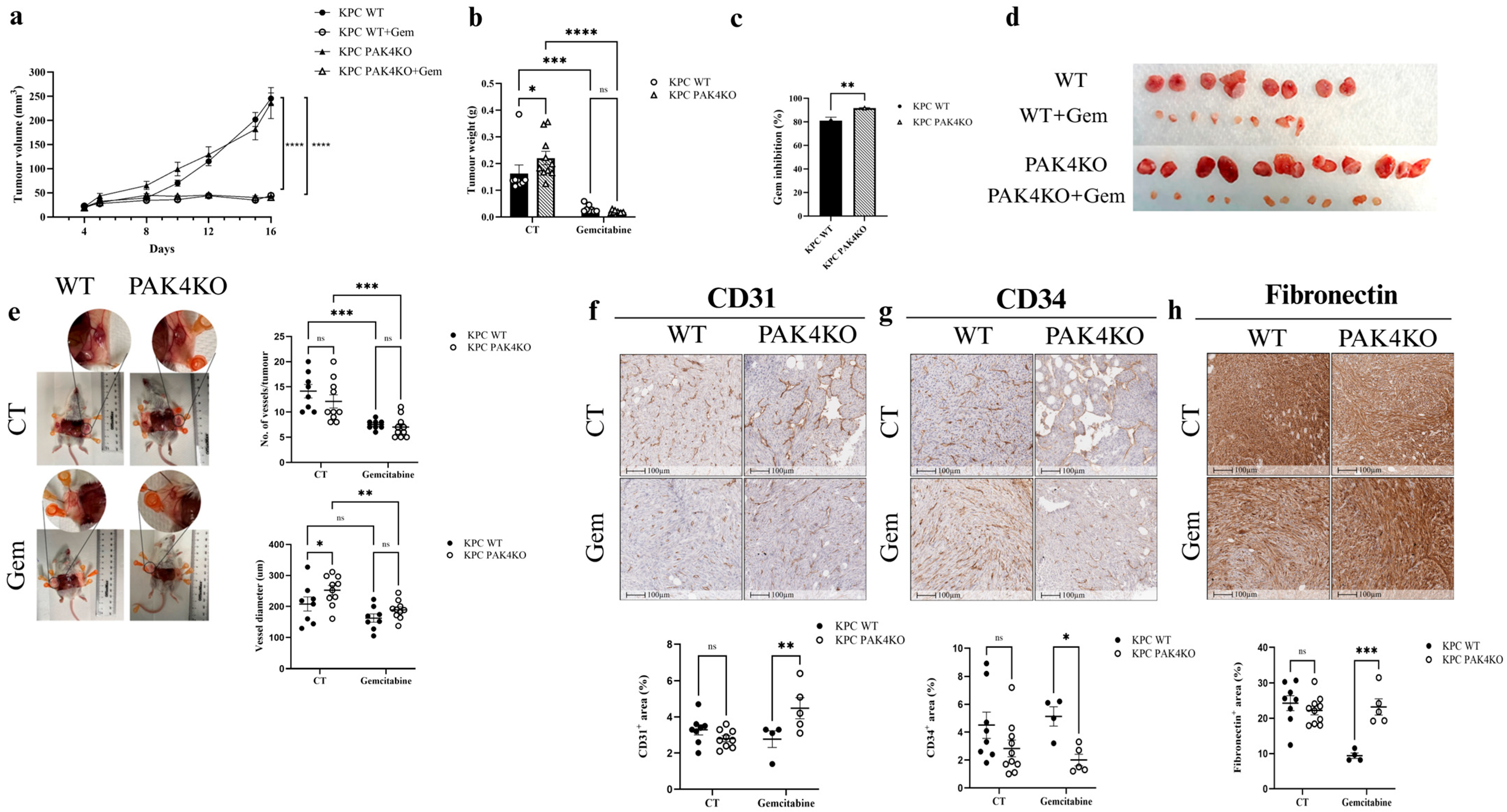 Cancers 17 03434 g003 Cancers 17 03434 g003
