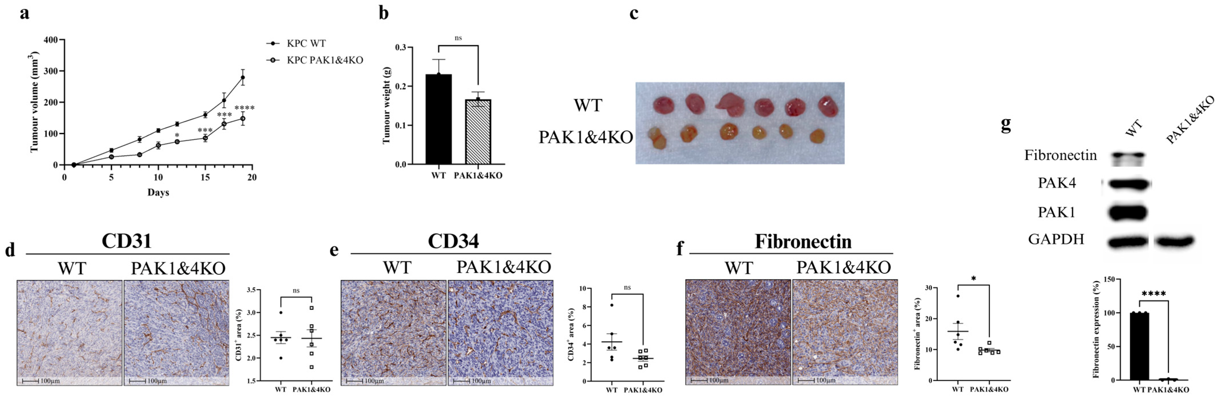 Cancers 17 03434 g005 Cancers 17 03434 g005
