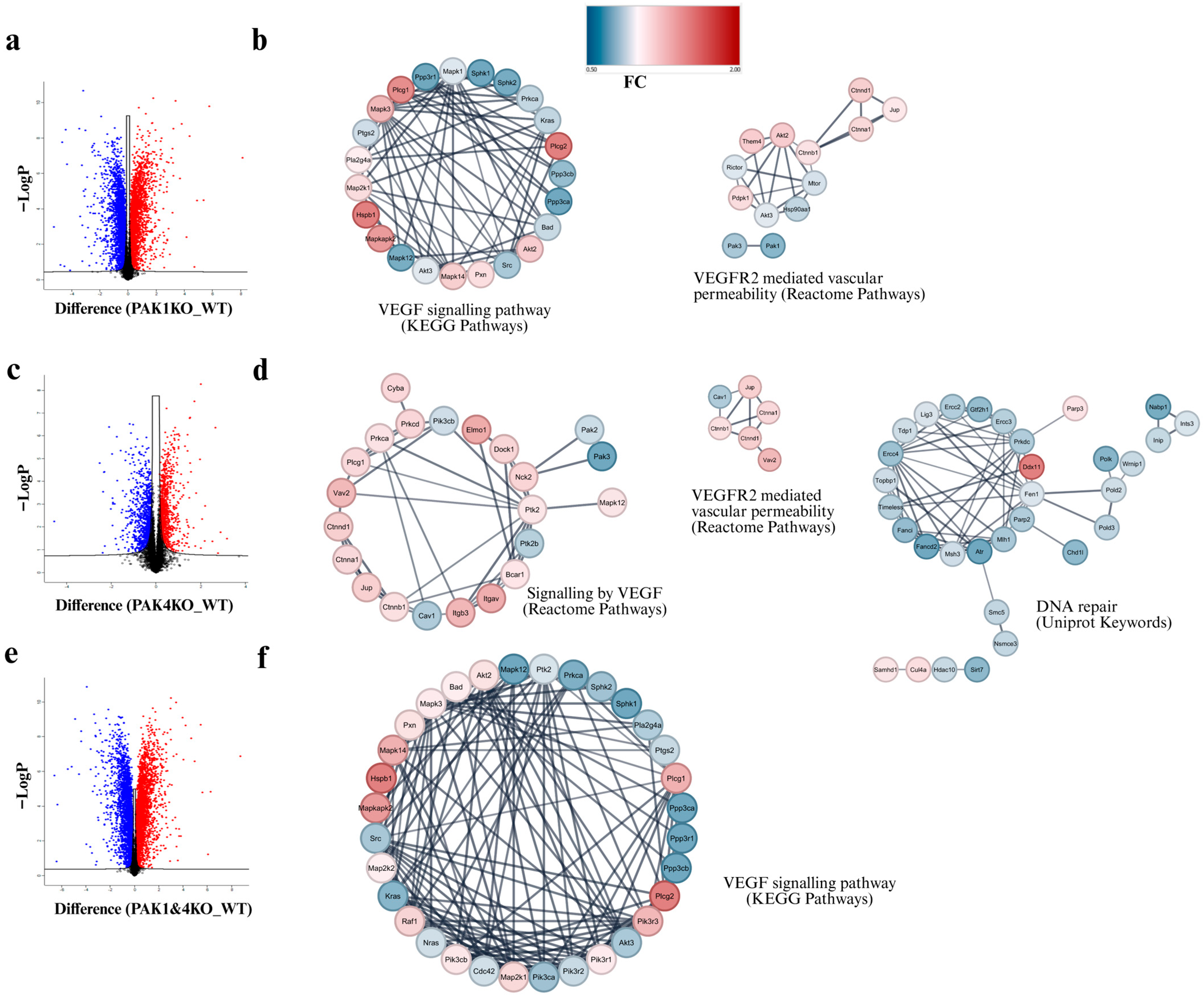 Cancers 17 03434 g007 Cancers 17 03434 g007