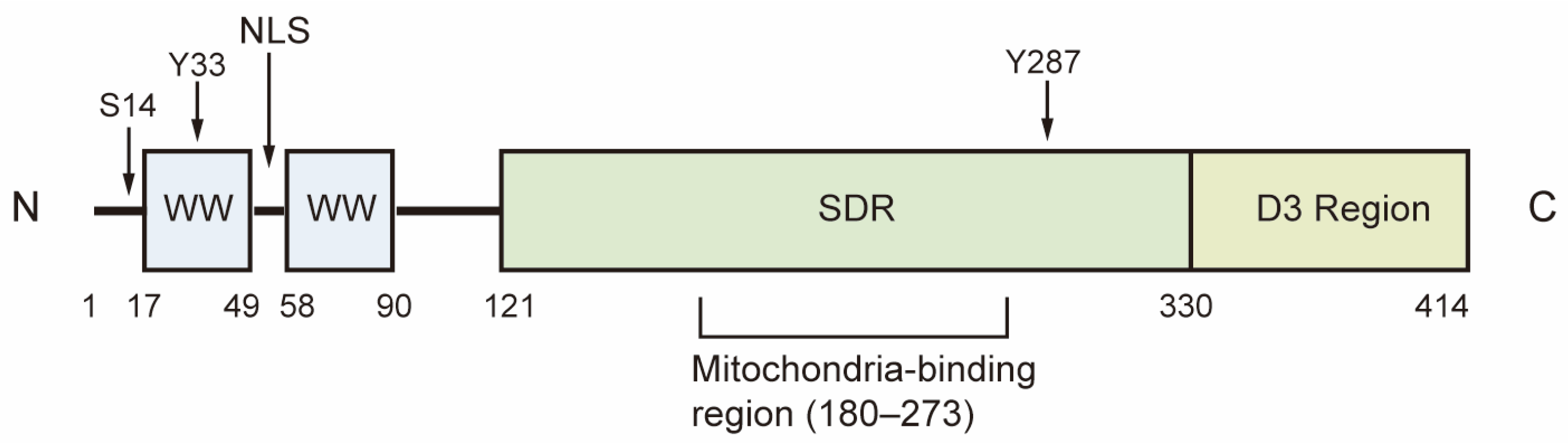 Cancers 17 03435 g001 Cancers 17 03435 g001
