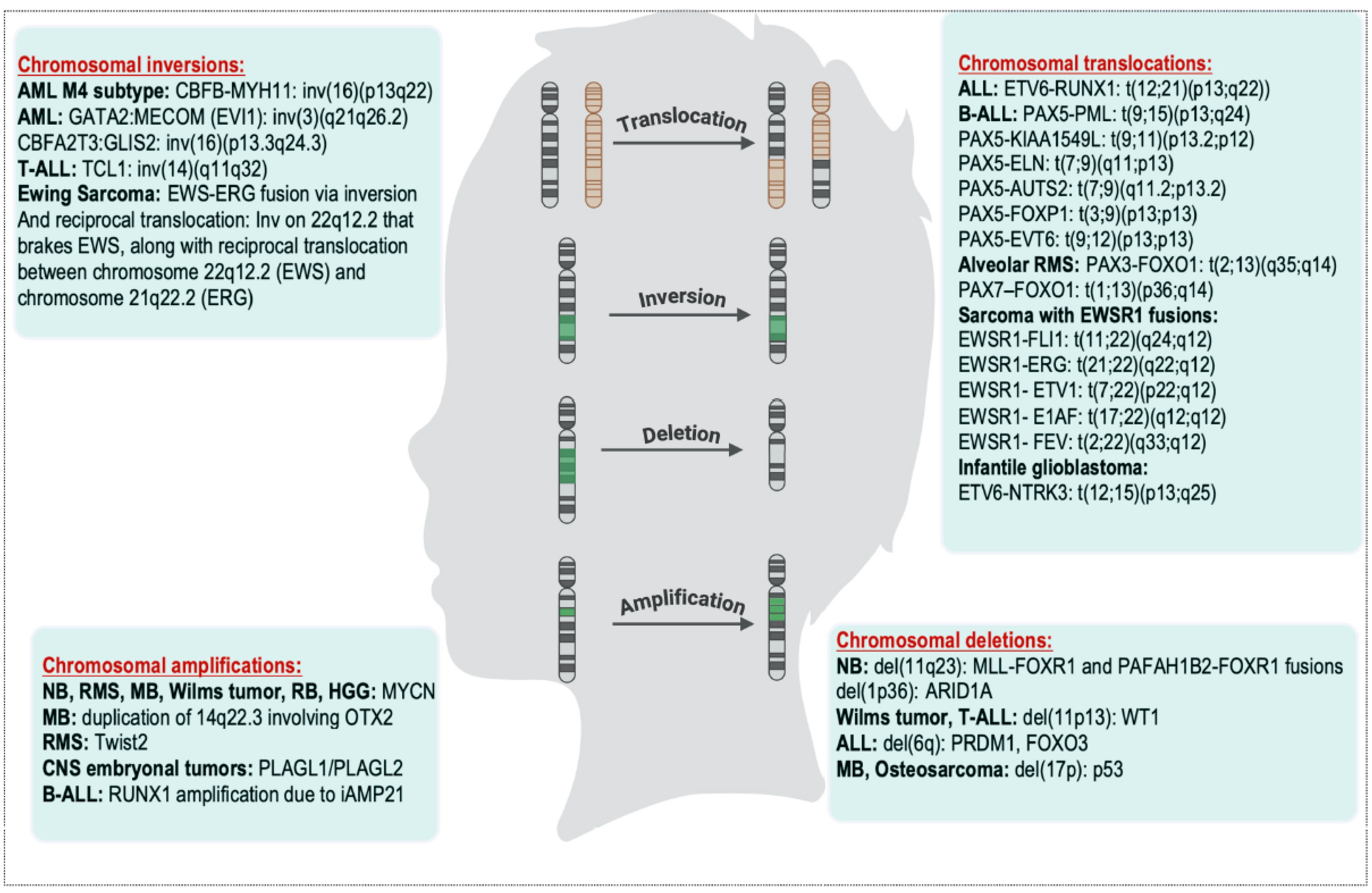 Cancers 17 03439 g001 Cancers 17 03439 g001