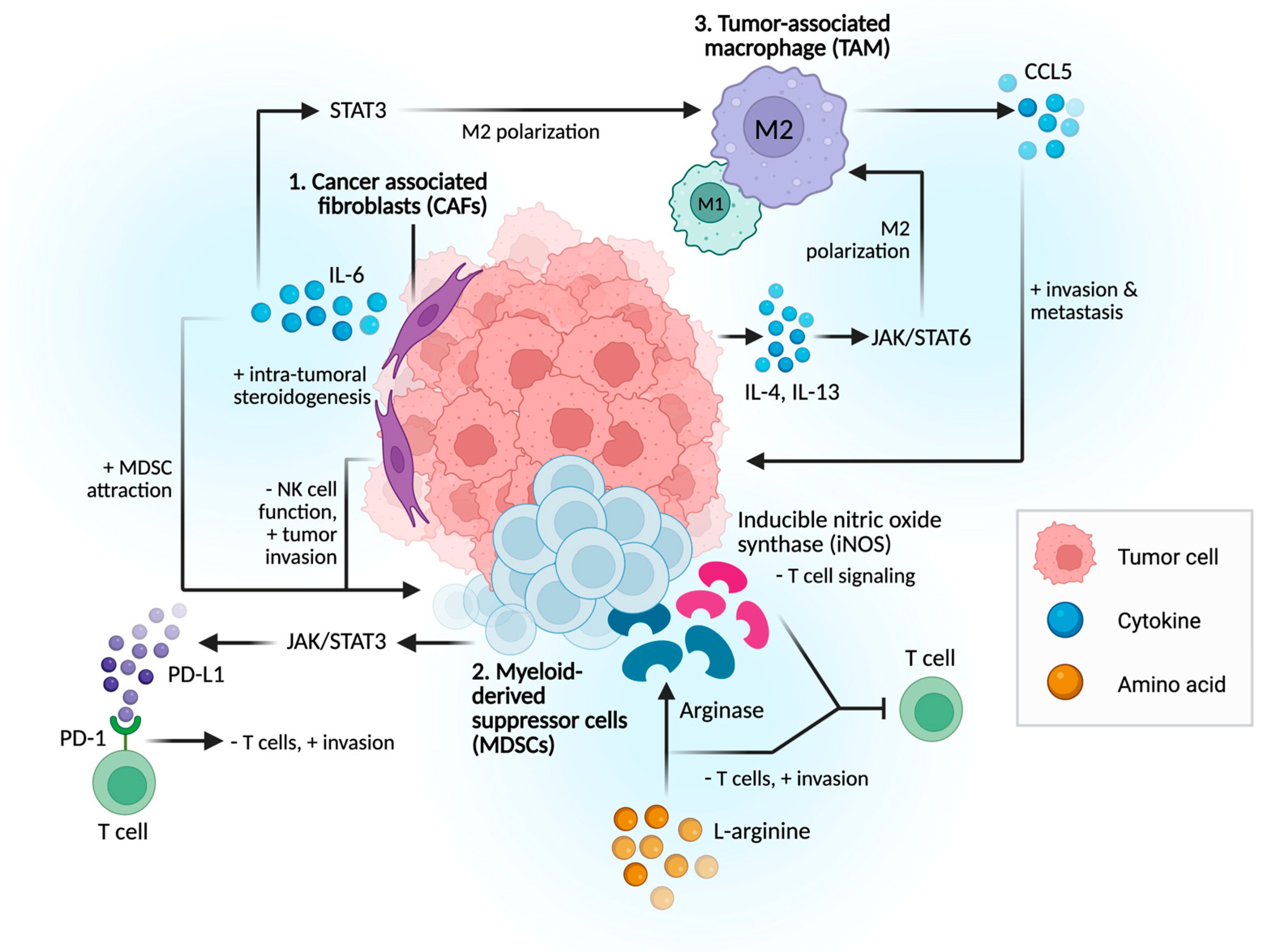 Cancers 17 03441 g001 Cancers 17 03441 g001
