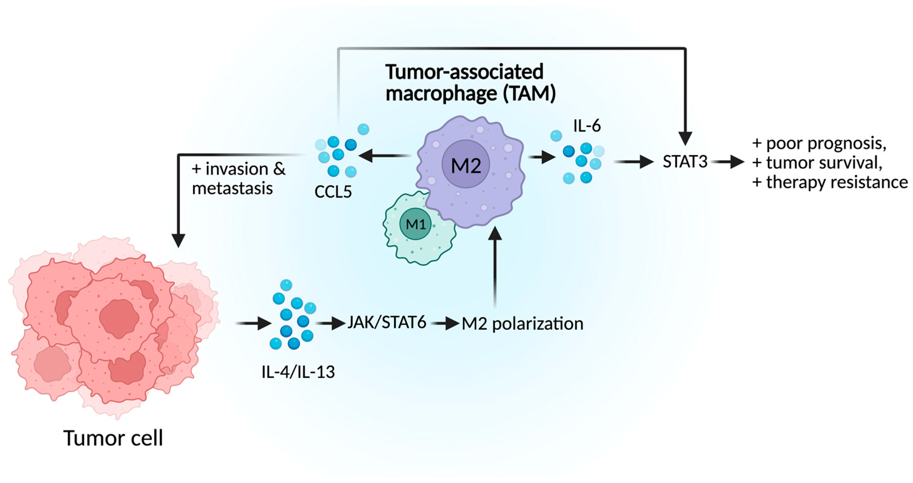 Cancers 17 03441 g002 Cancers 17 03441 g002