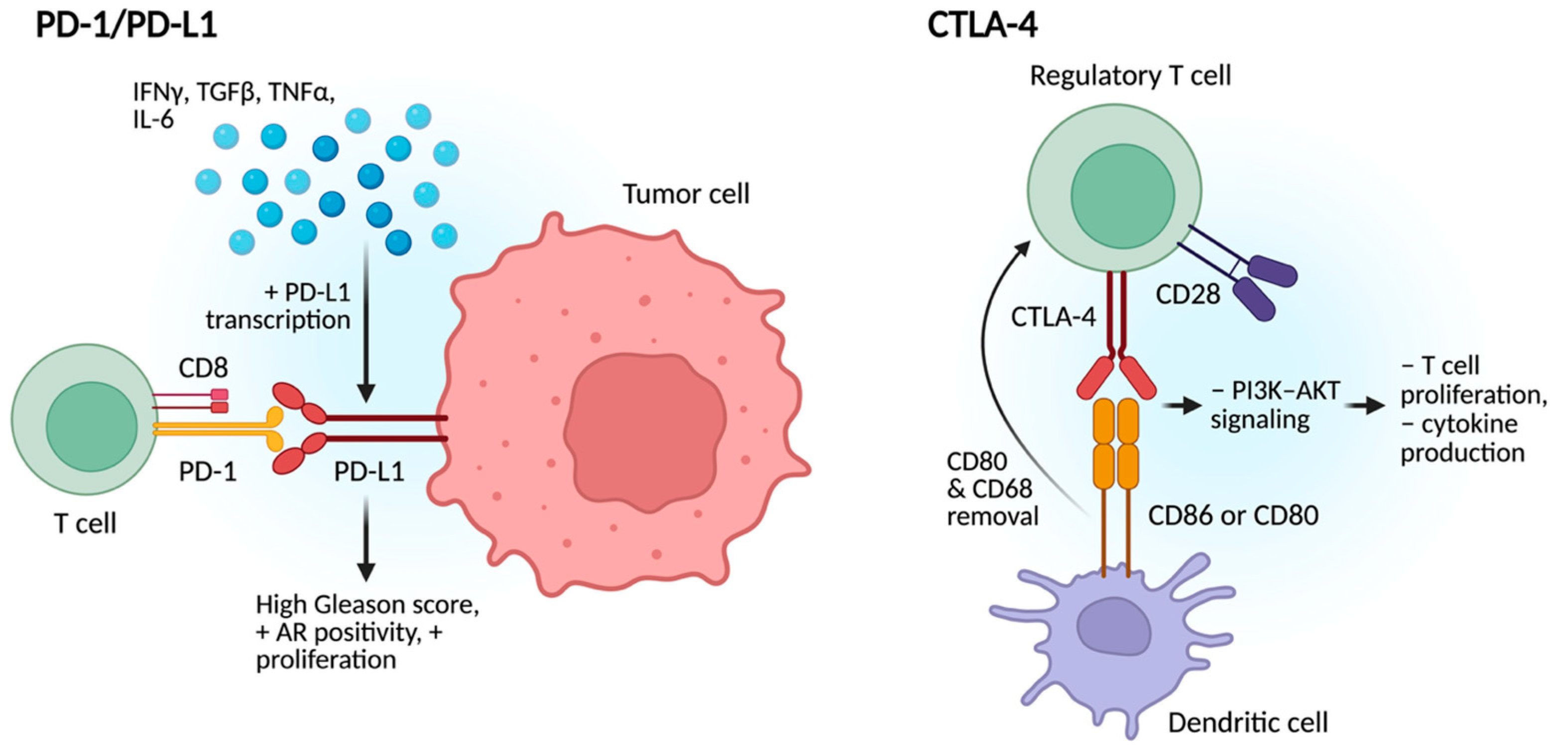 Cancers 17 03441 g003 Cancers 17 03441 g003