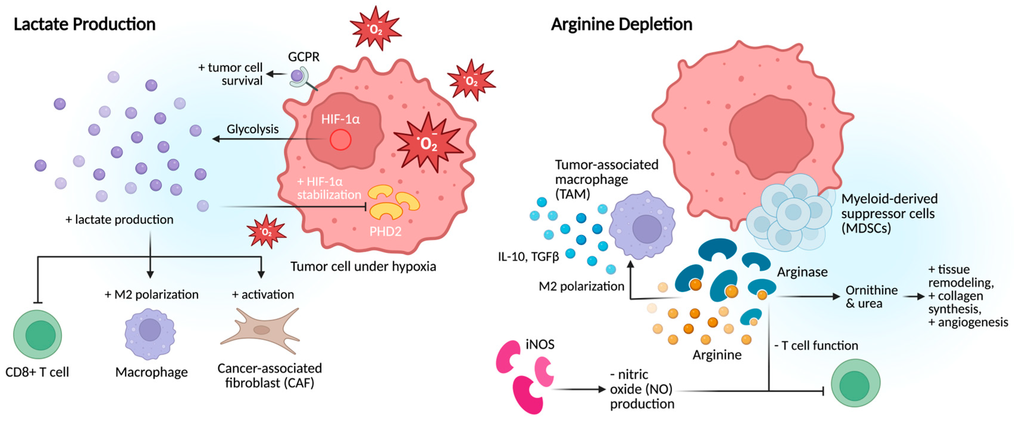 Cancers 17 03441 g004 Cancers 17 03441 g004