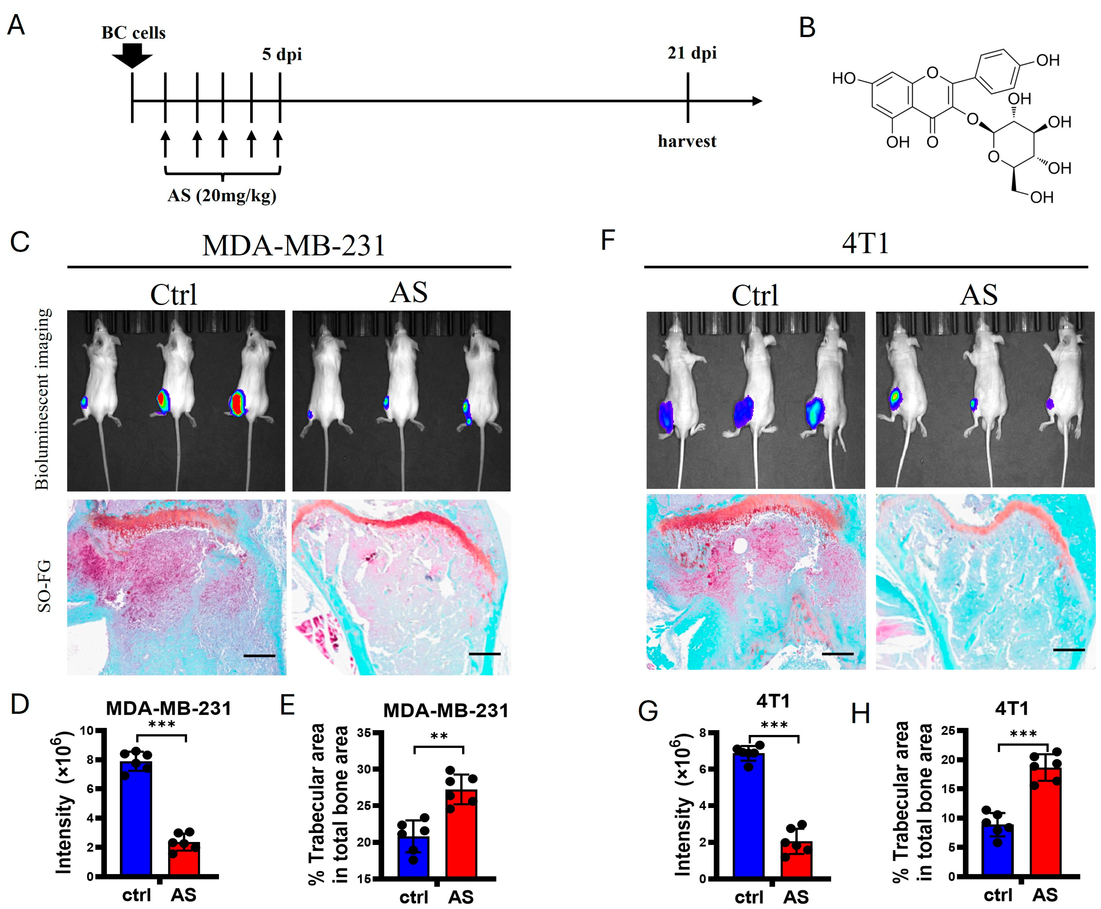 Cancers 17 03442 g001 Cancers 17 03442 g001
