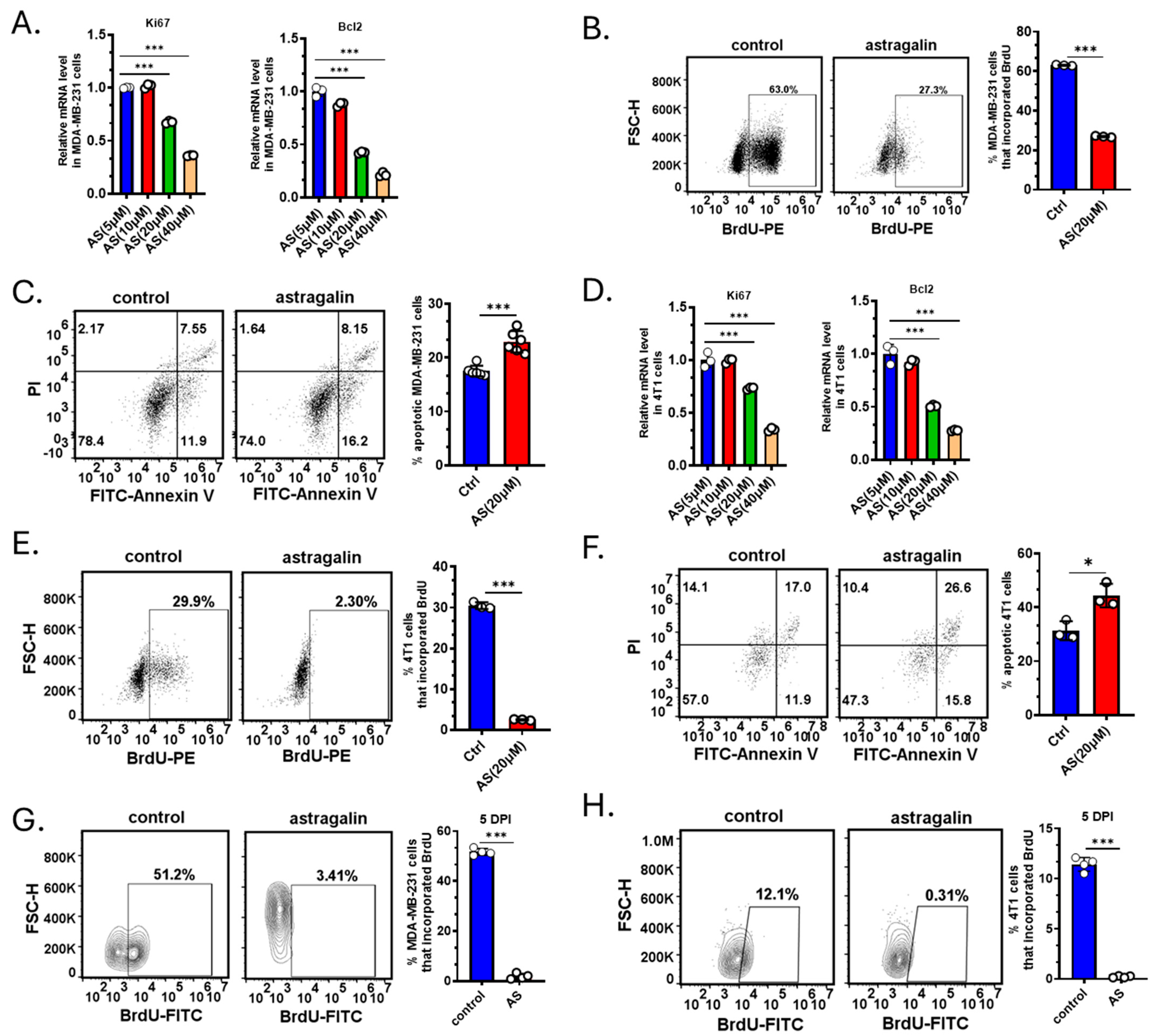 Cancers 17 03442 g002 Cancers 17 03442 g002
