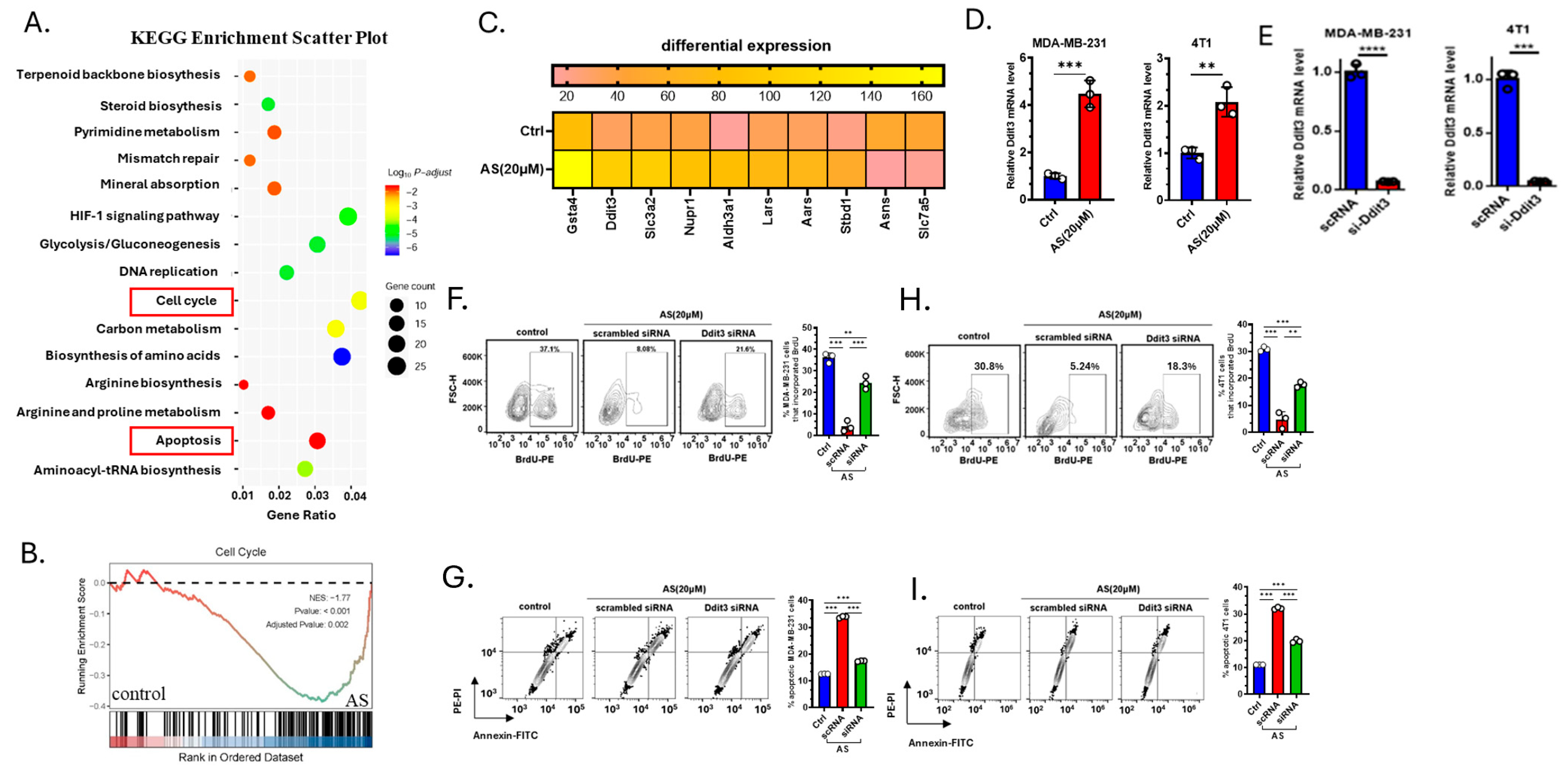 Cancers 17 03442 g003 Cancers 17 03442 g003