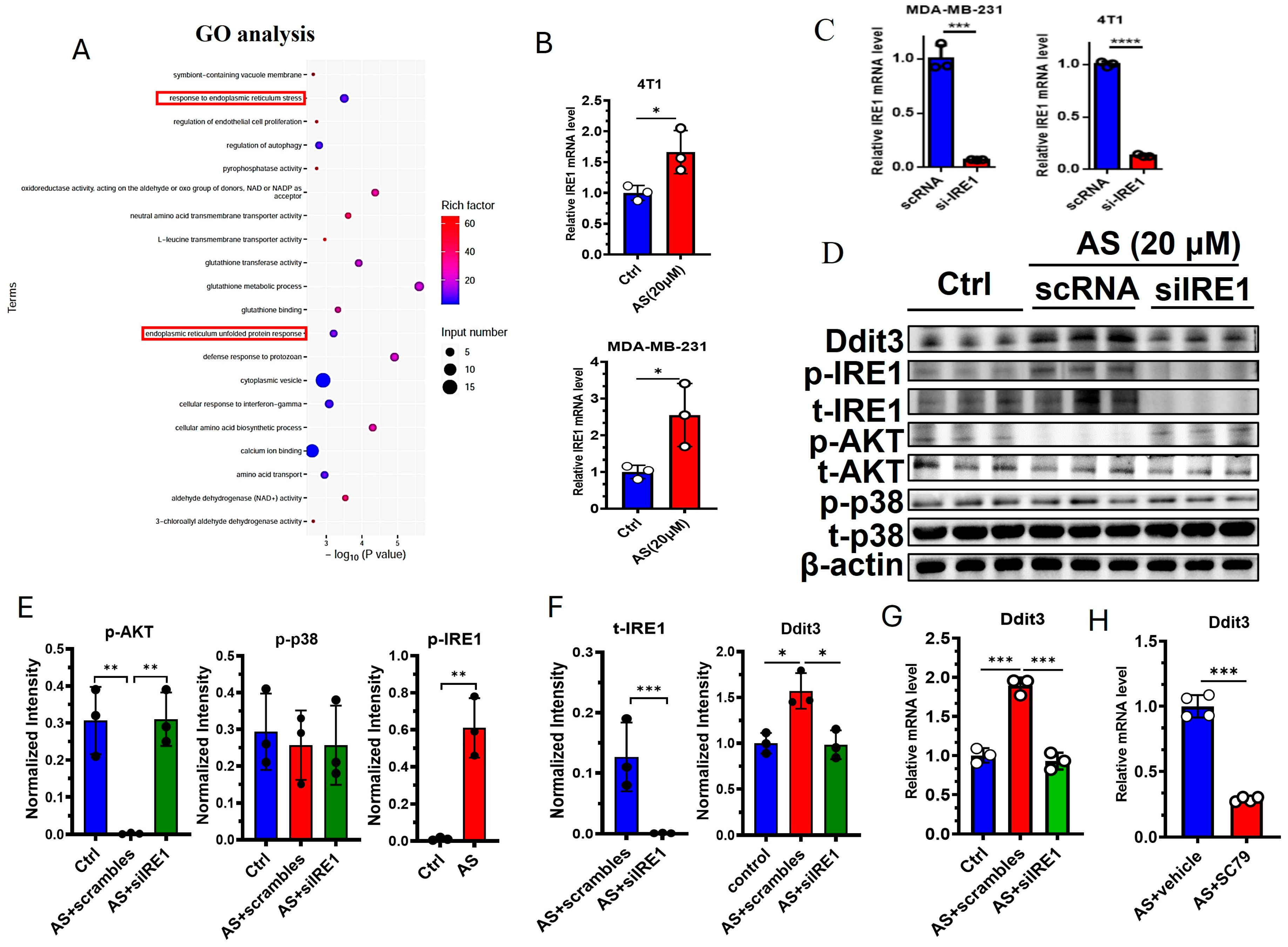 Cancers 17 03442 g004 Cancers 17 03442 g004