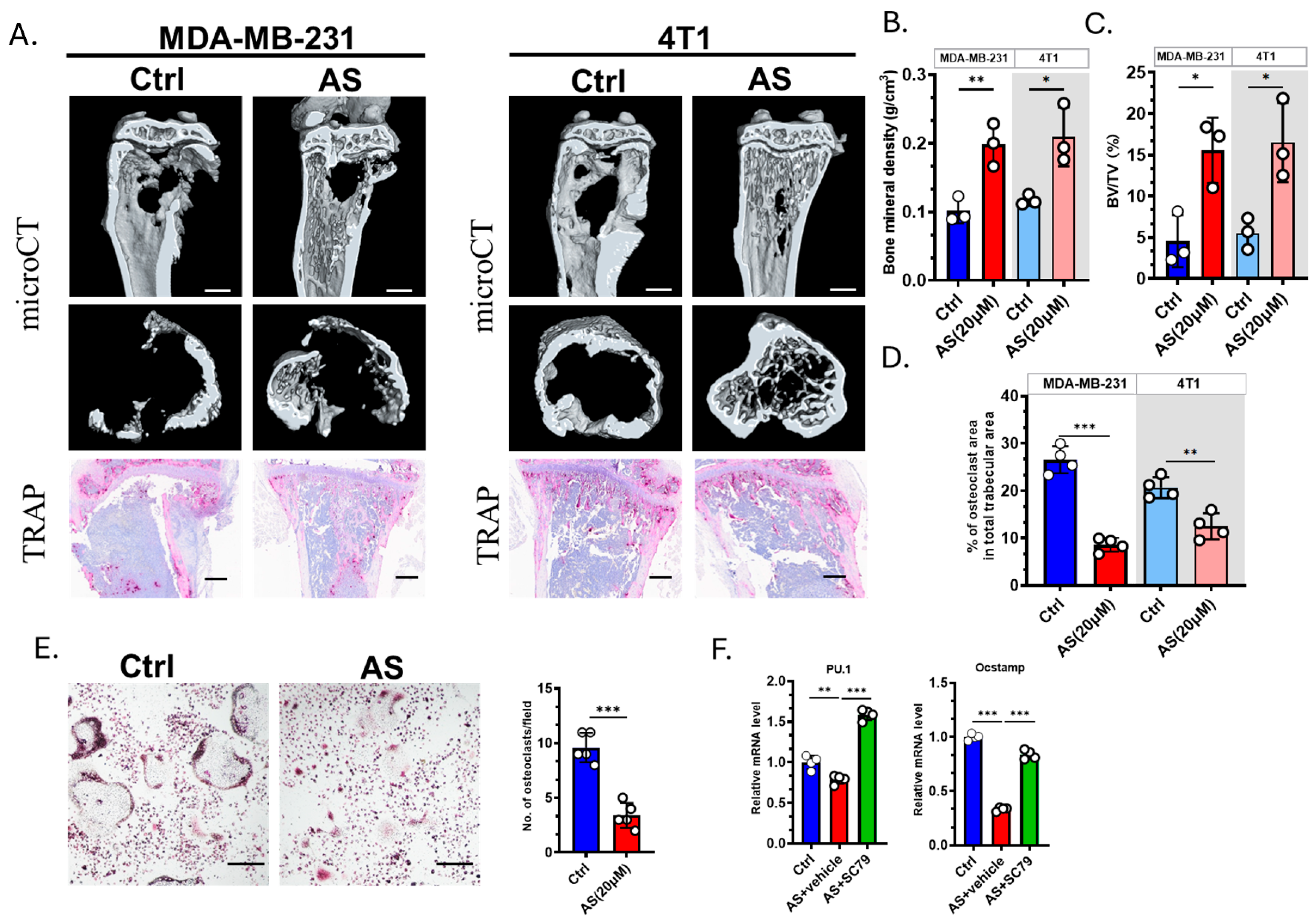 Cancers 17 03442 g005 Cancers 17 03442 g005