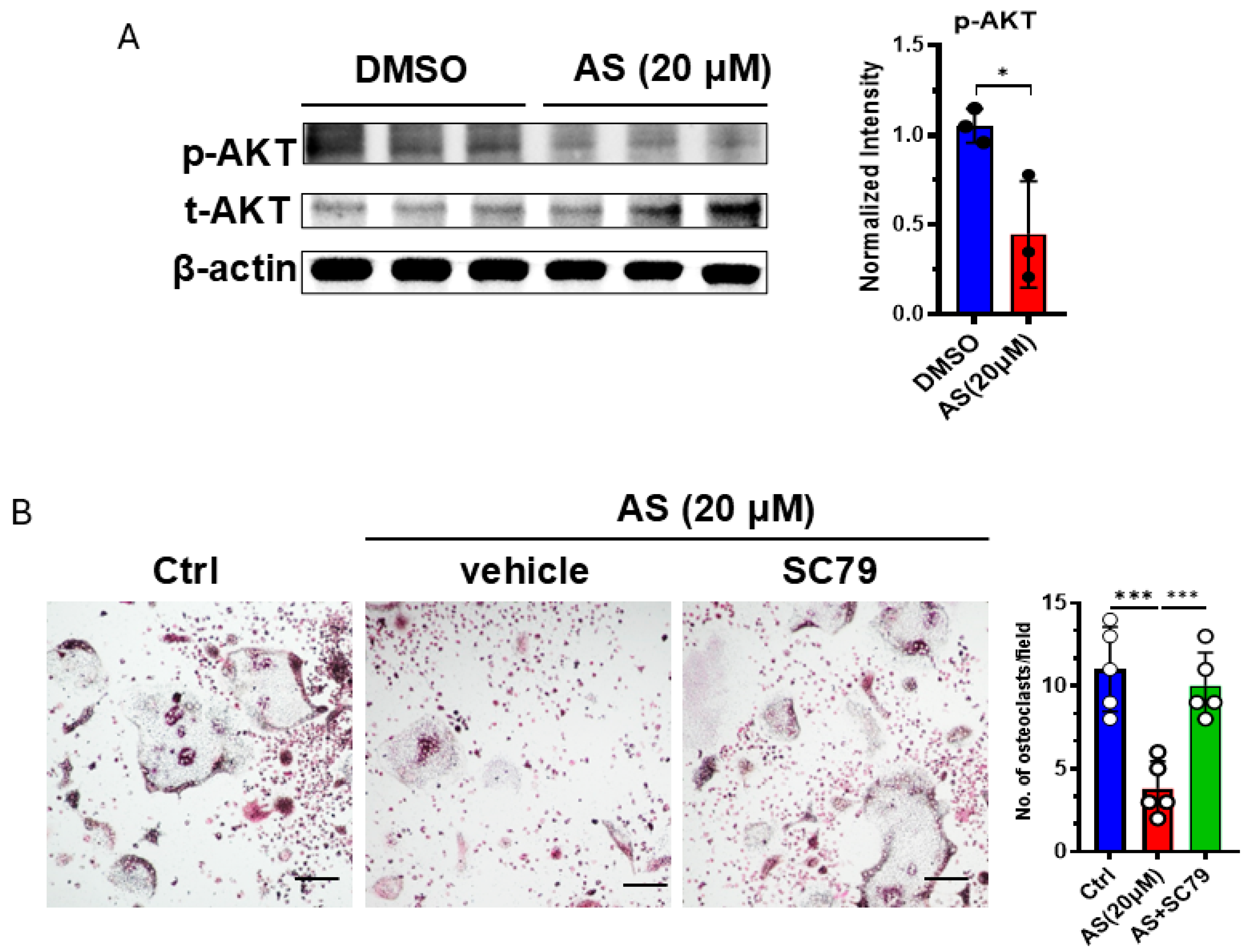 Cancers 17 03442 g006 Cancers 17 03442 g006