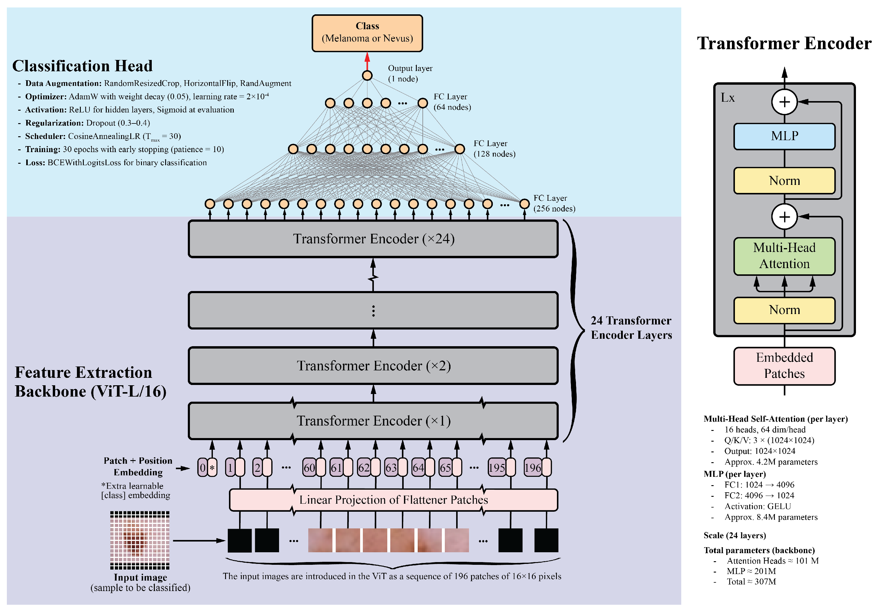 Cancers 17 03447 g001 Cancers 17 03447 g001