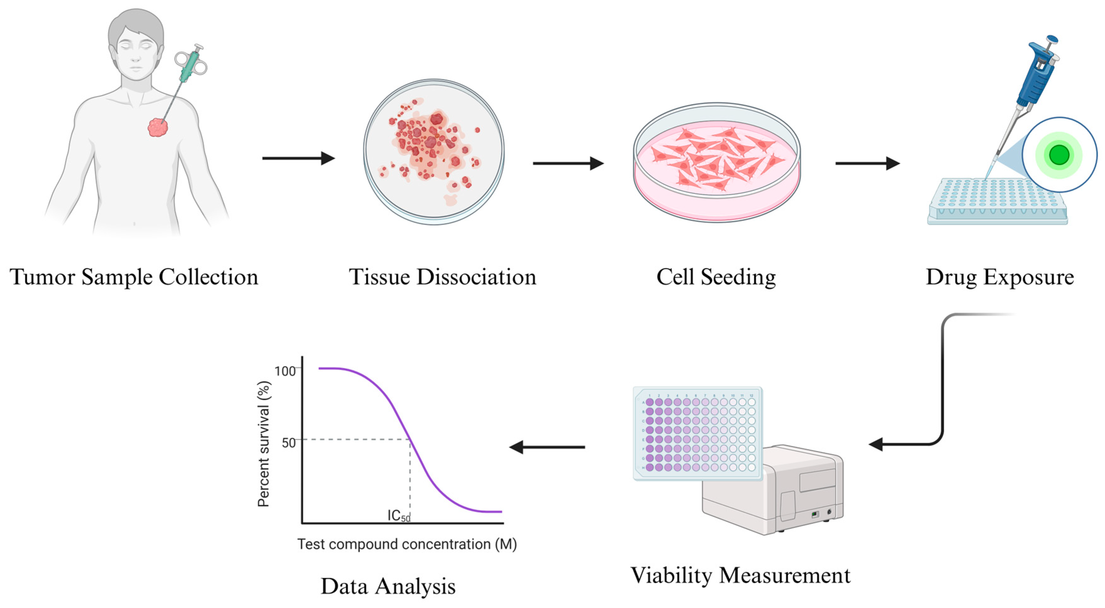 Cancers 17 03452 g001