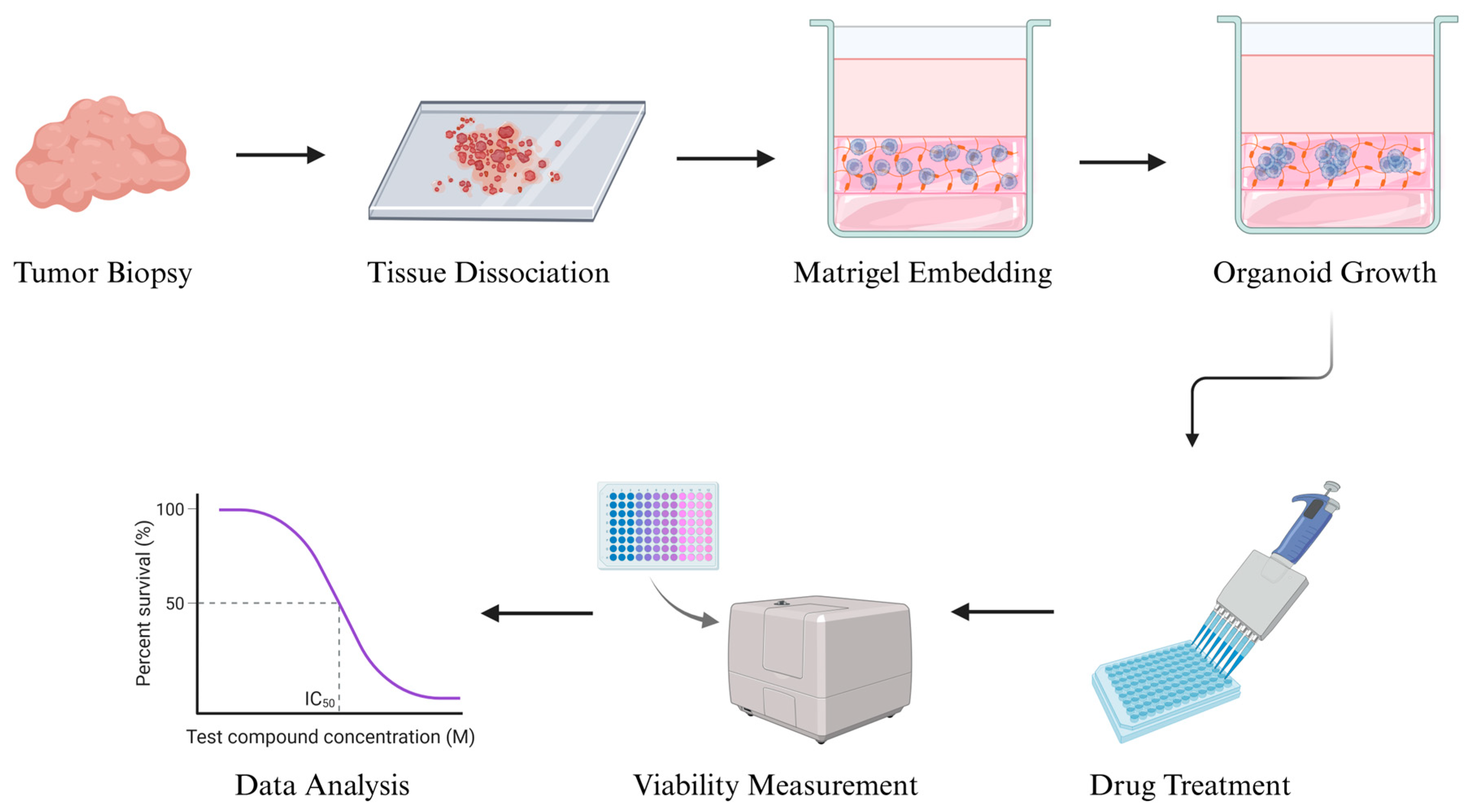 Cancers 17 03452 g002