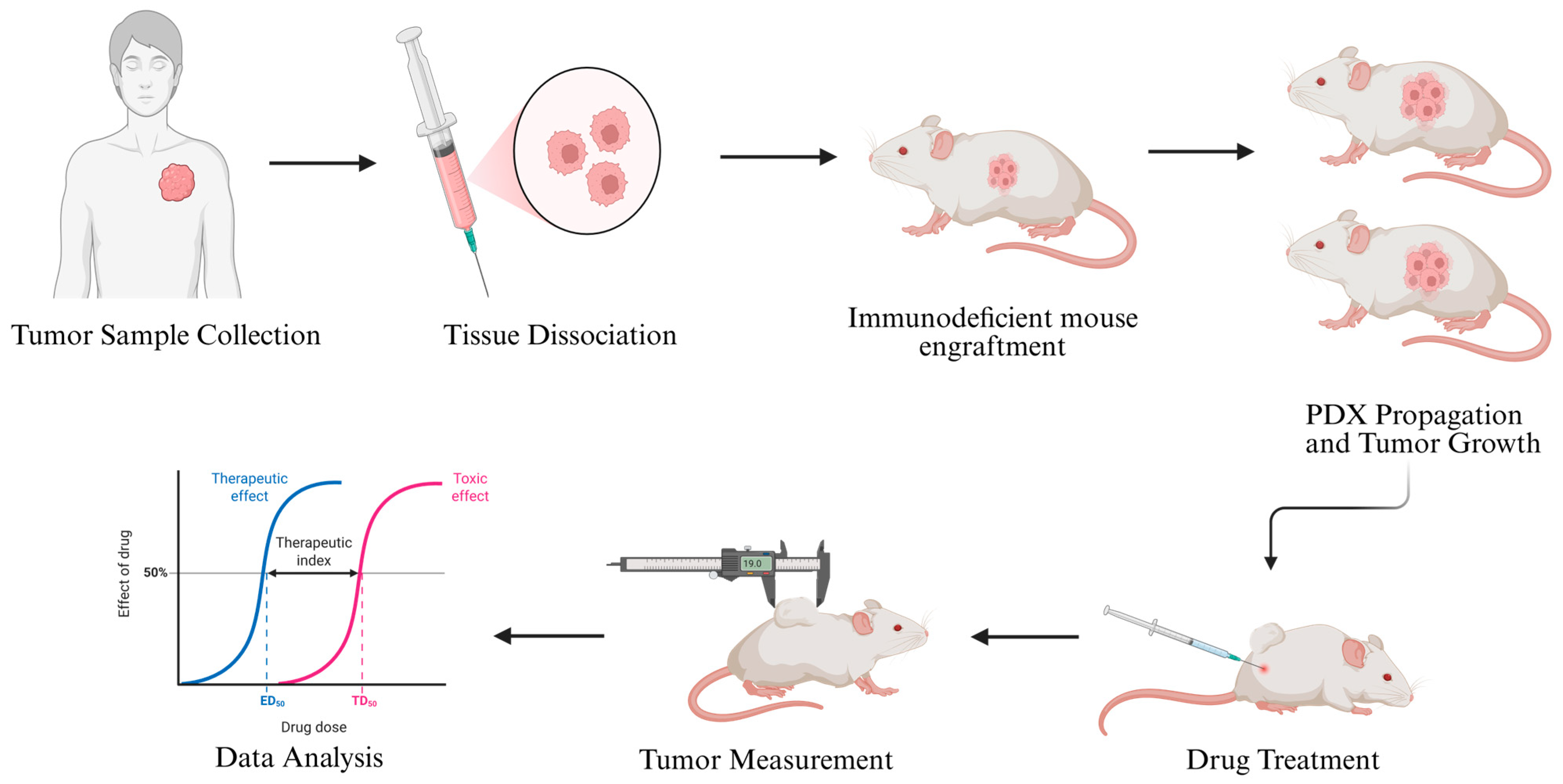 Cancers 17 03452 g003