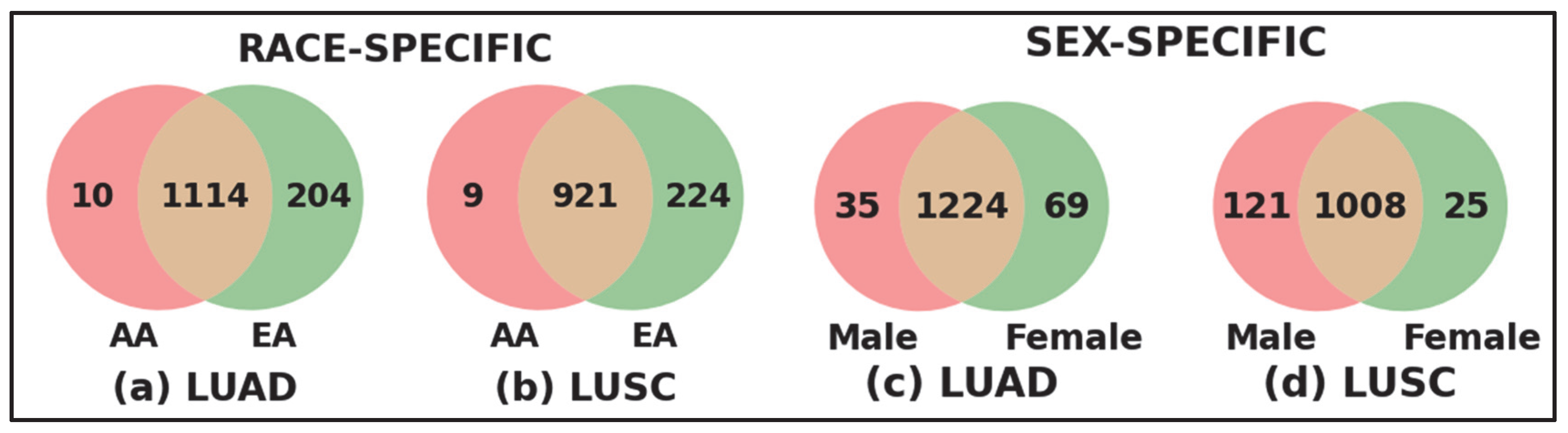 Cancers 17 03454 g004 Cancers 17 03454 g004