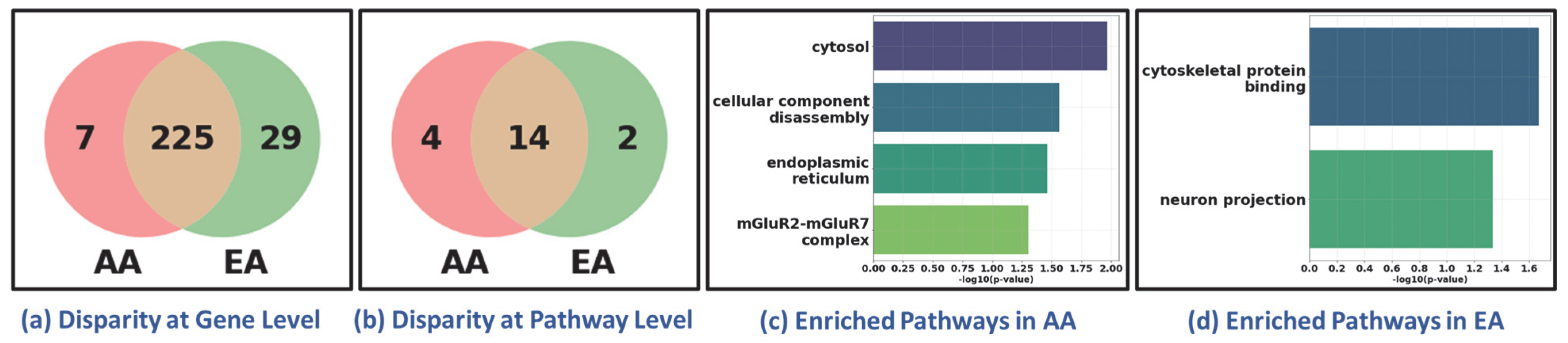 Cancers 17 03454 g006 Cancers 17 03454 g006