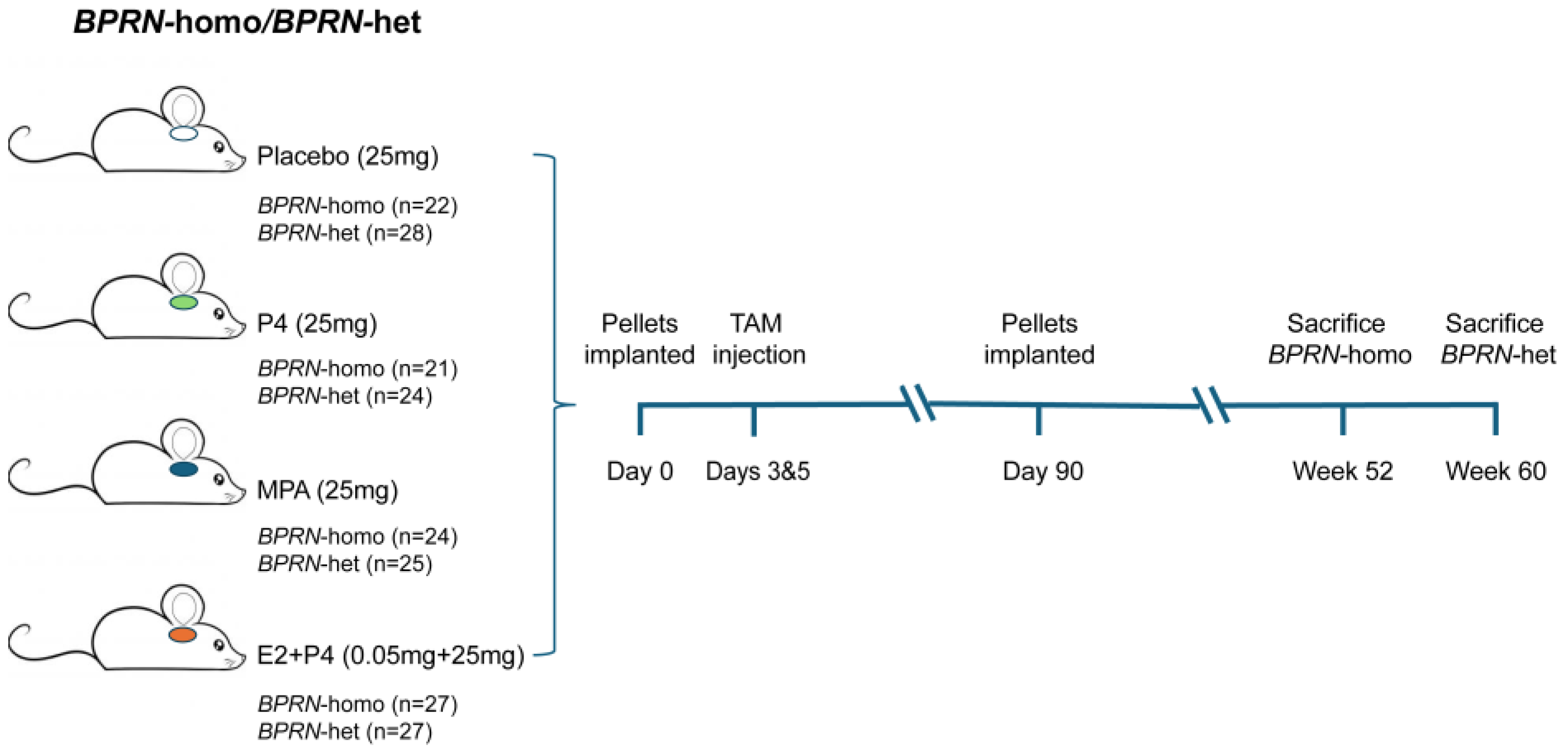 Cancers 17 03456 g001 Cancers 17 03456 g001