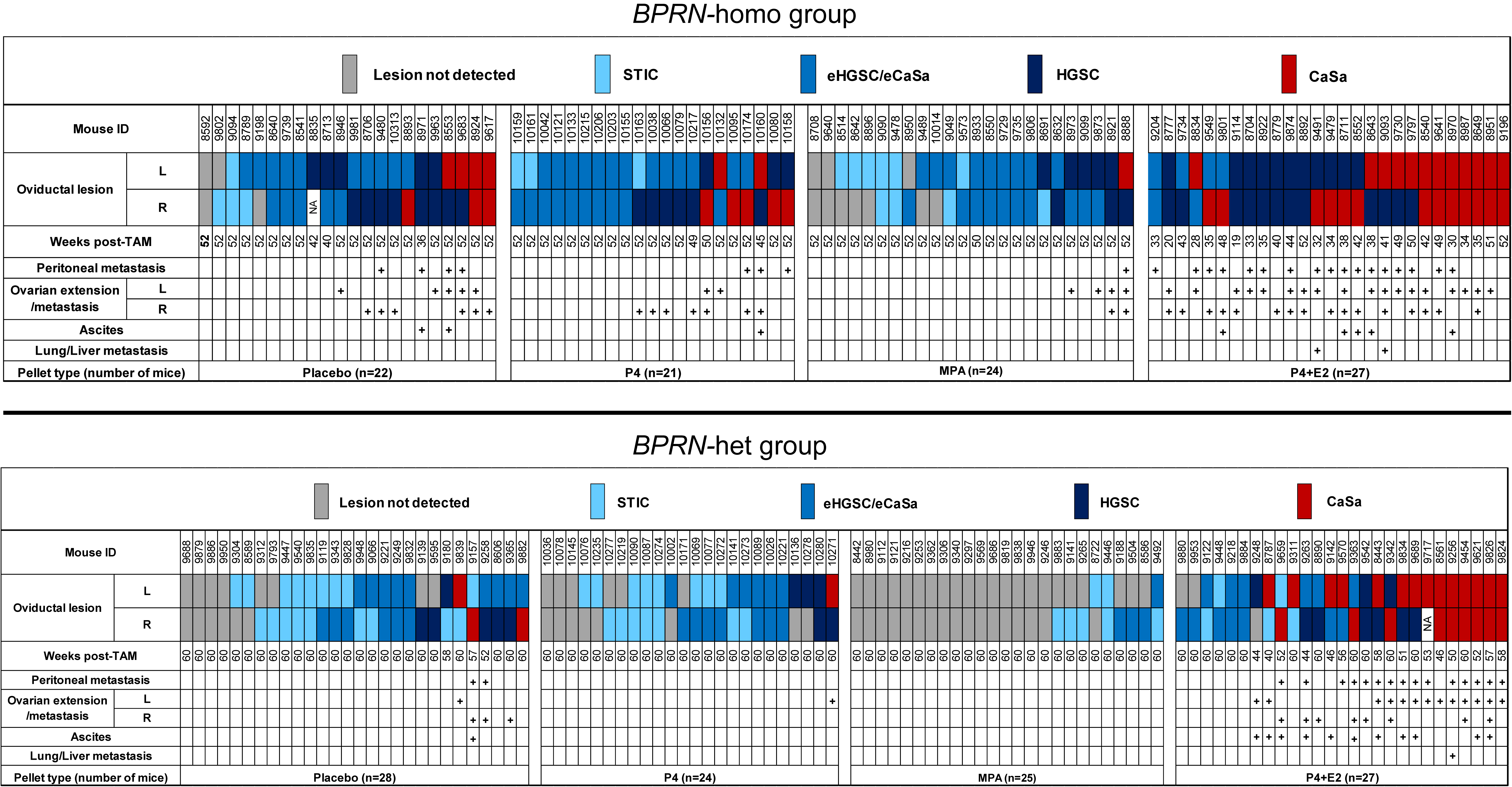 Cancers 17 03456 g002 Cancers 17 03456 g002