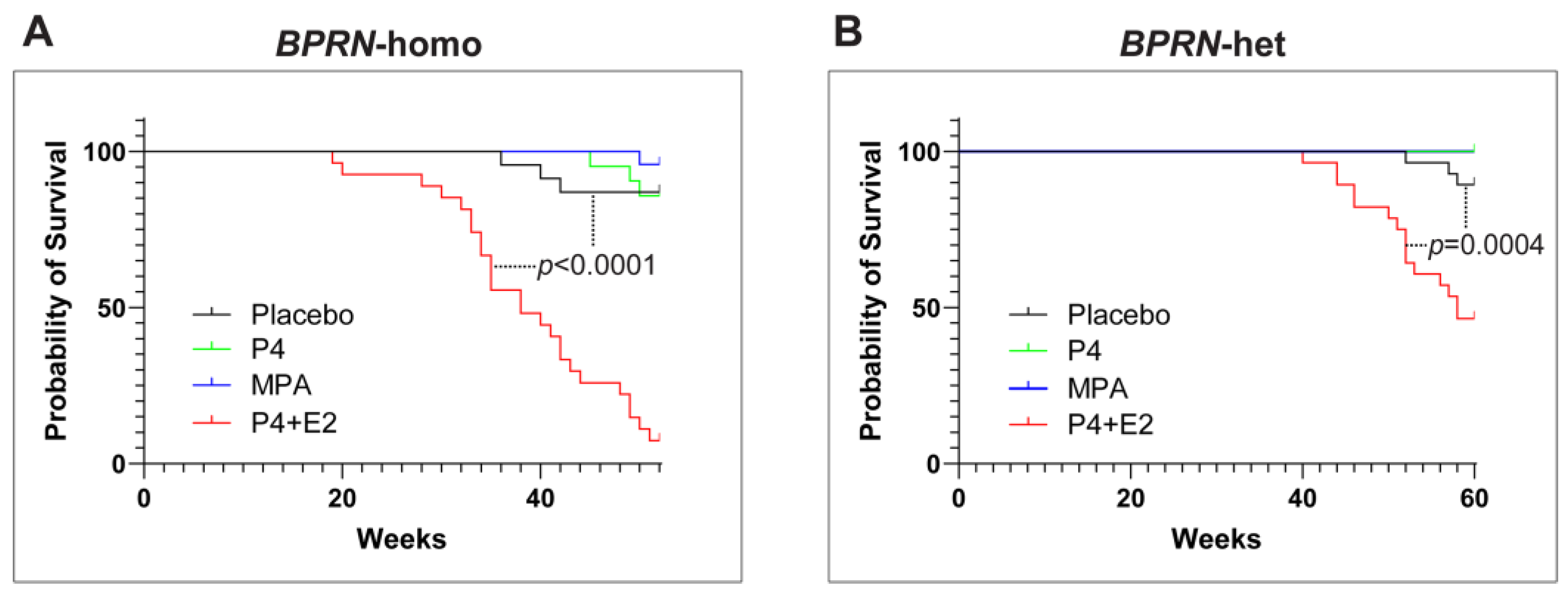 Cancers 17 03456 g003 Cancers 17 03456 g003