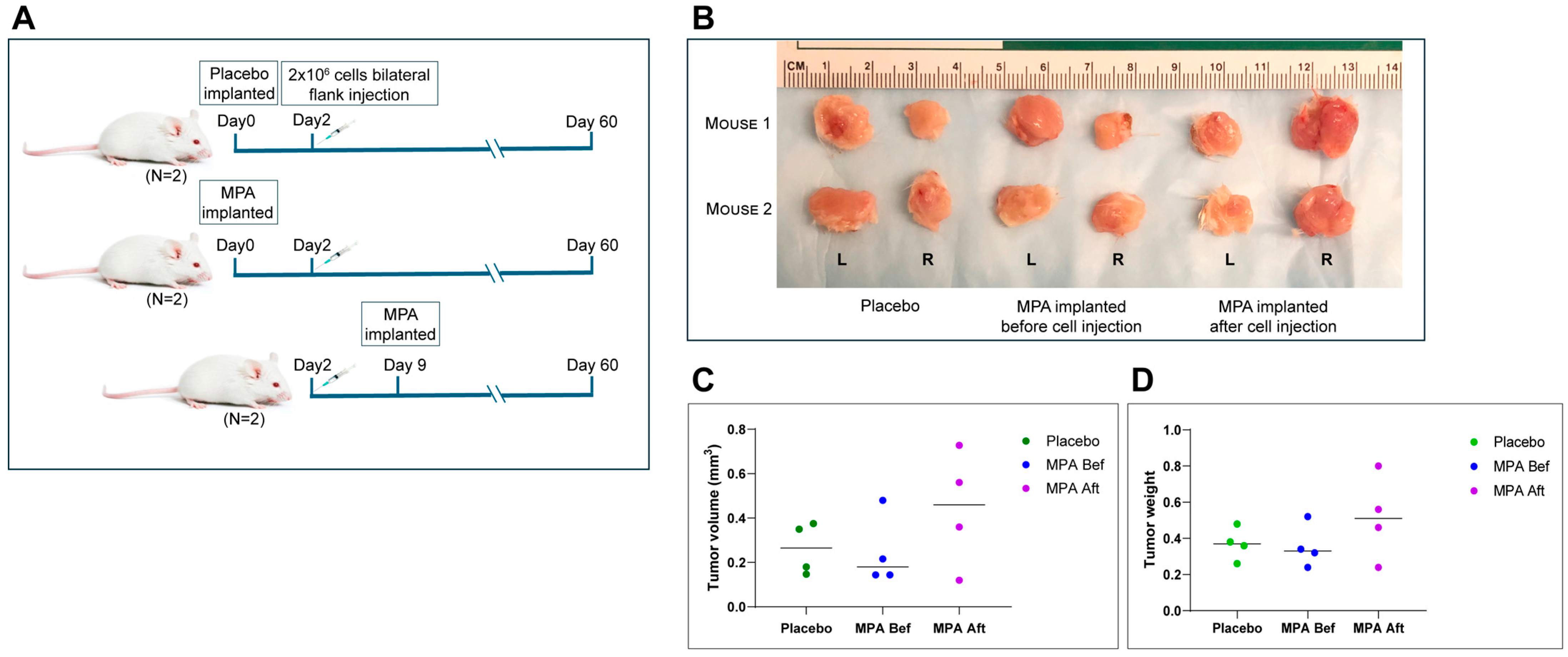 Cancers 17 03456 g004 Cancers 17 03456 g004