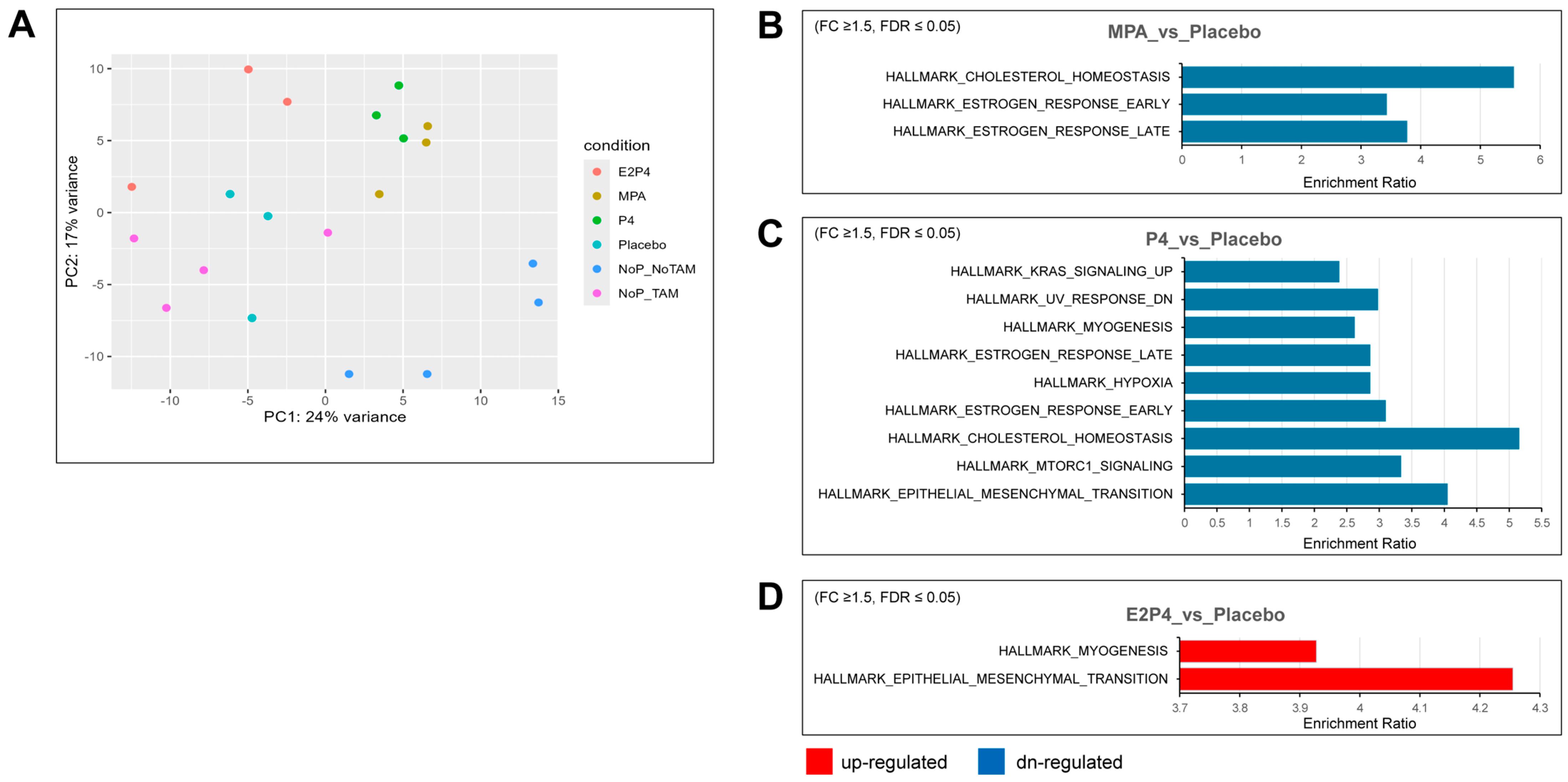 Cancers 17 03456 g005 Cancers 17 03456 g005
