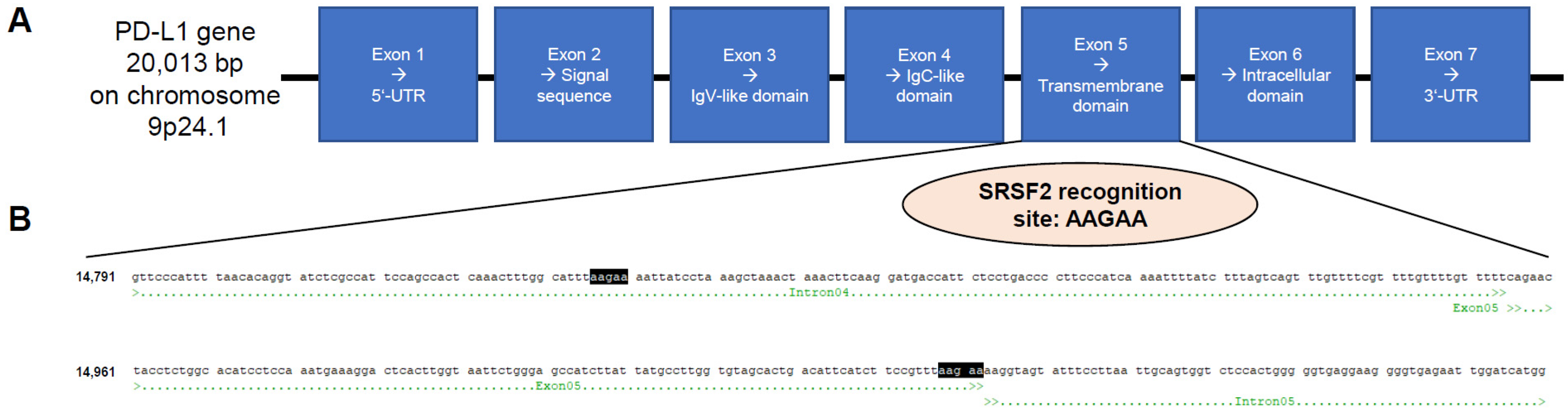 Cancers 17 03463 g001