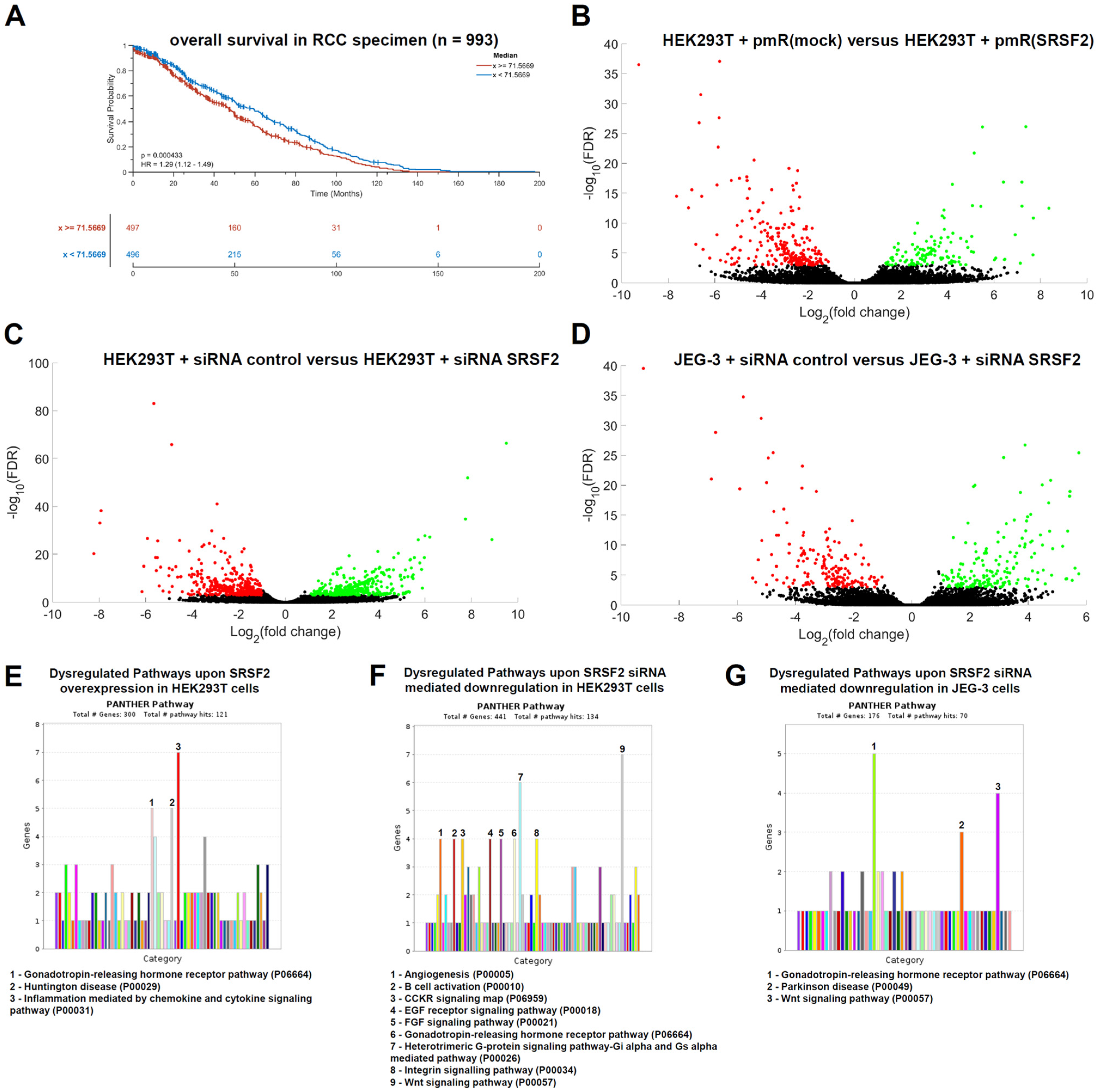 Cancers 17 03463 g005