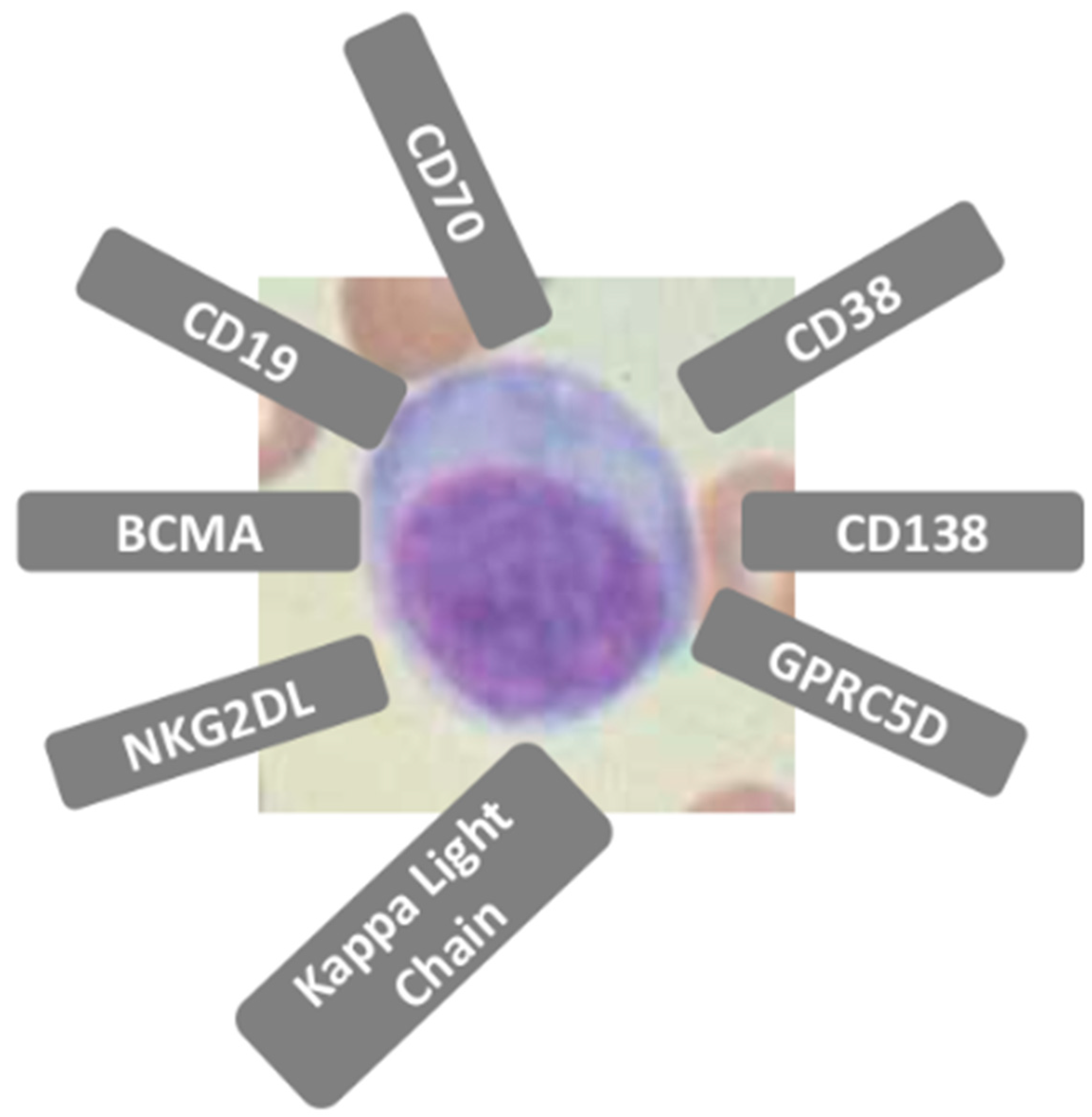 Cancers 17 03471 g001