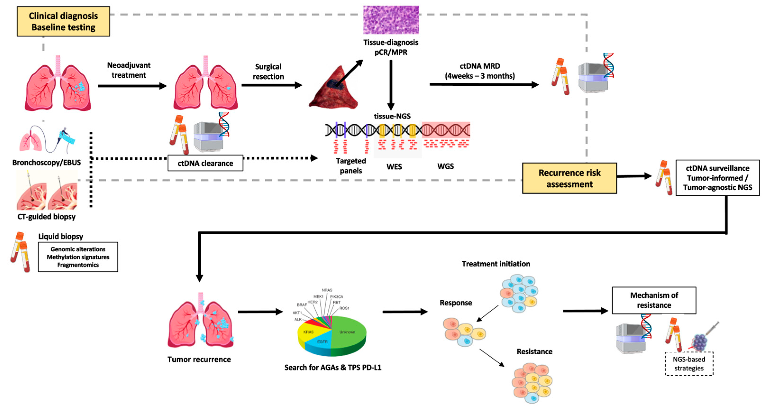 Cancers 17 03474 g001 Cancers 17 03474 g001