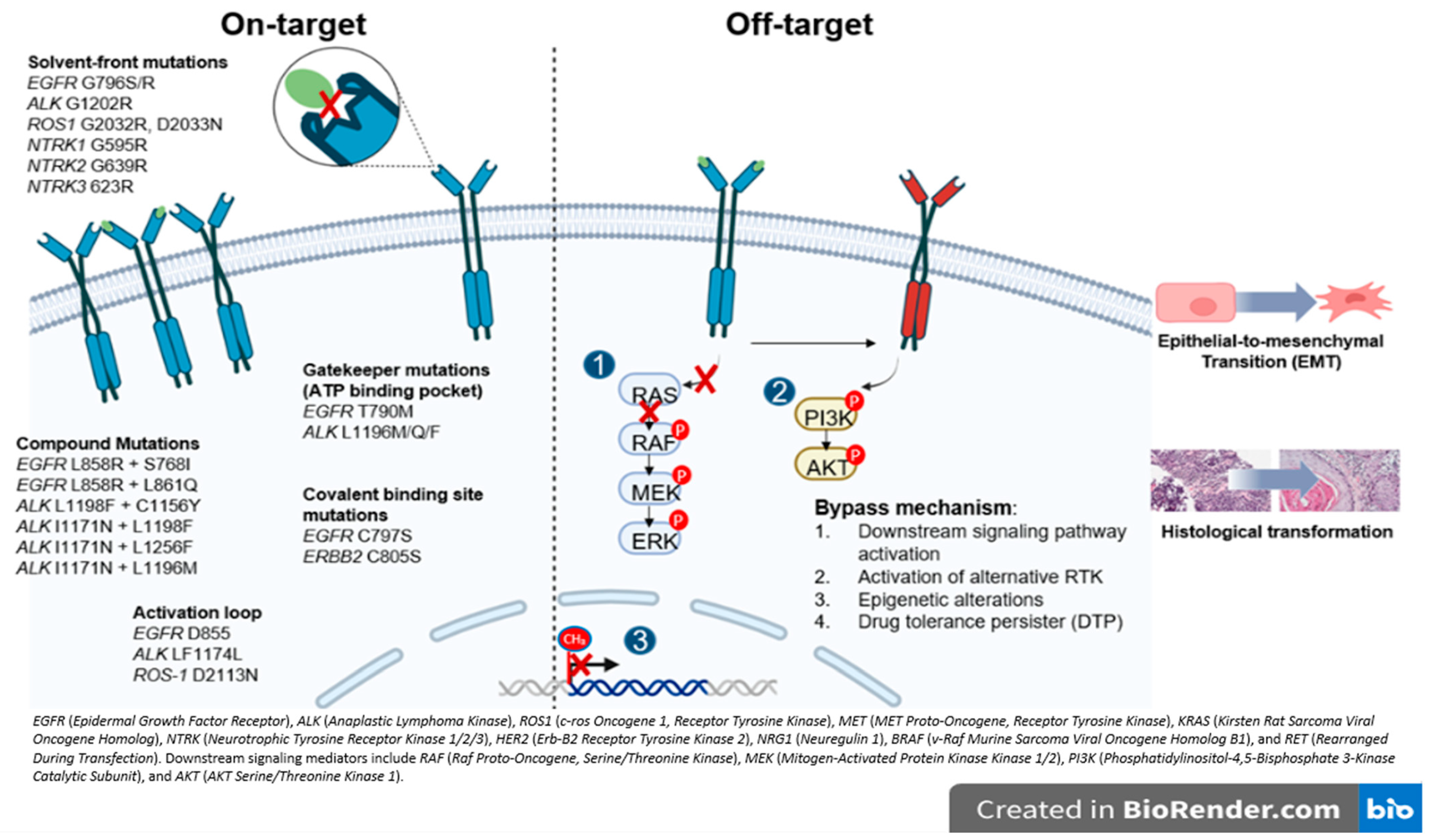 Cancers 17 03474 g002 Cancers 17 03474 g002