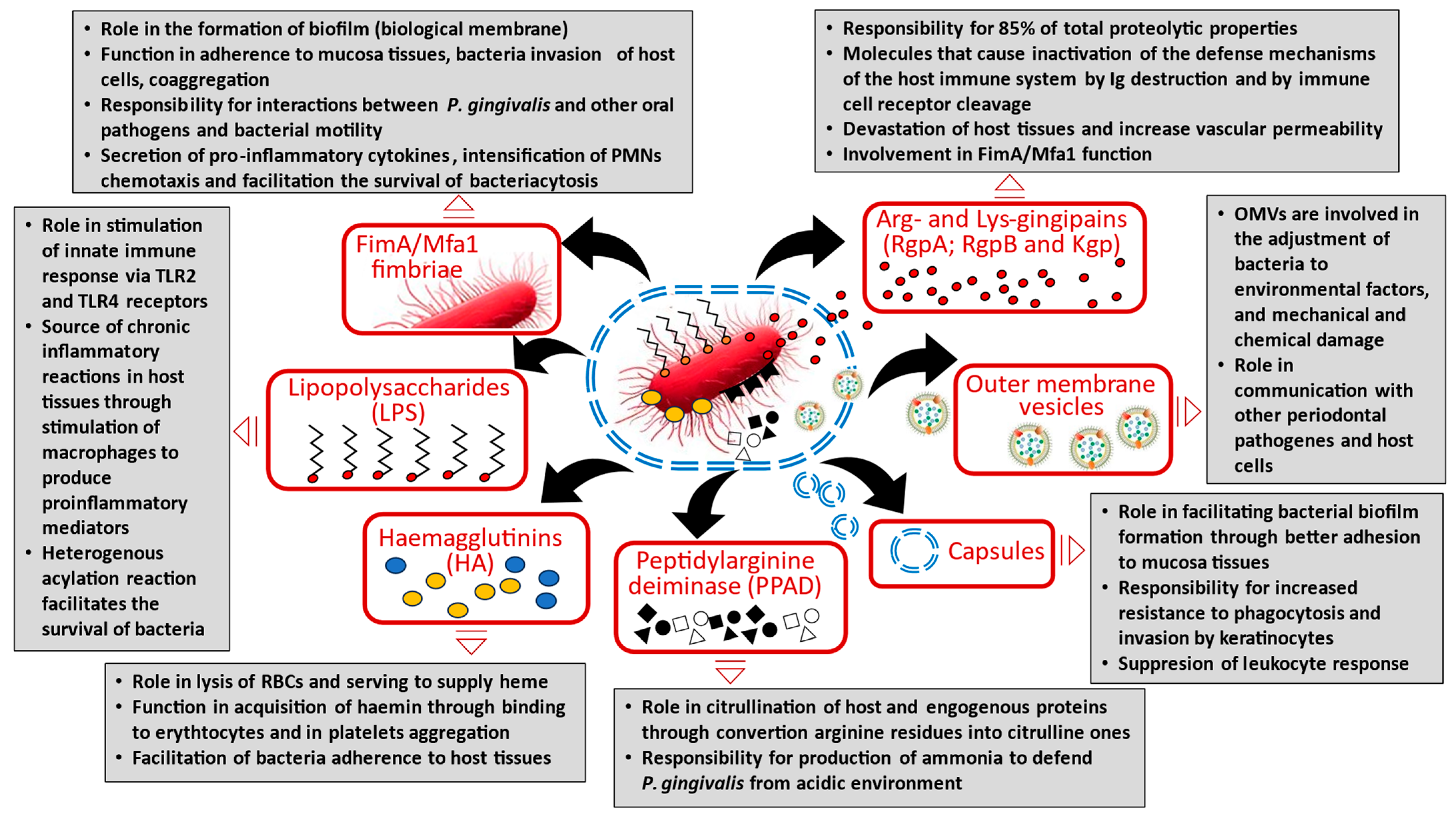 Cancers 17 03478 g001