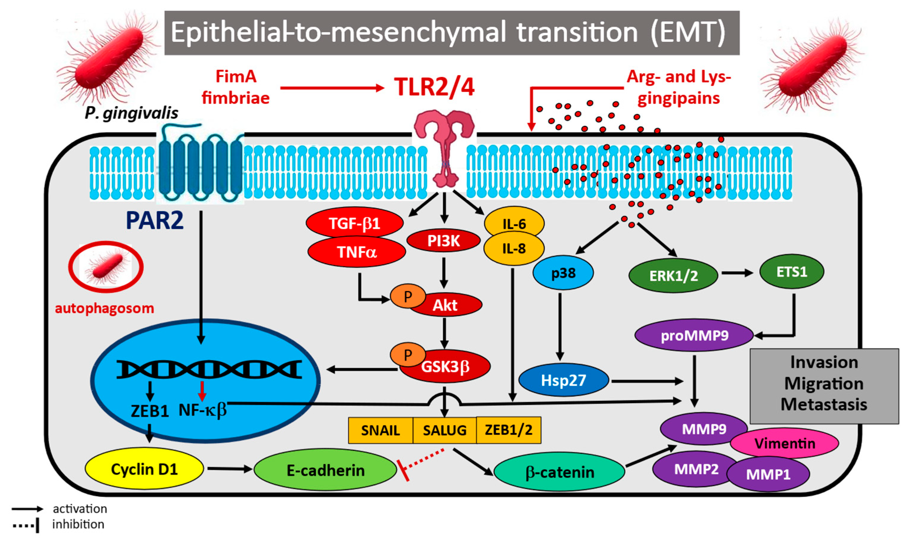 Cancers 17 03478 g002