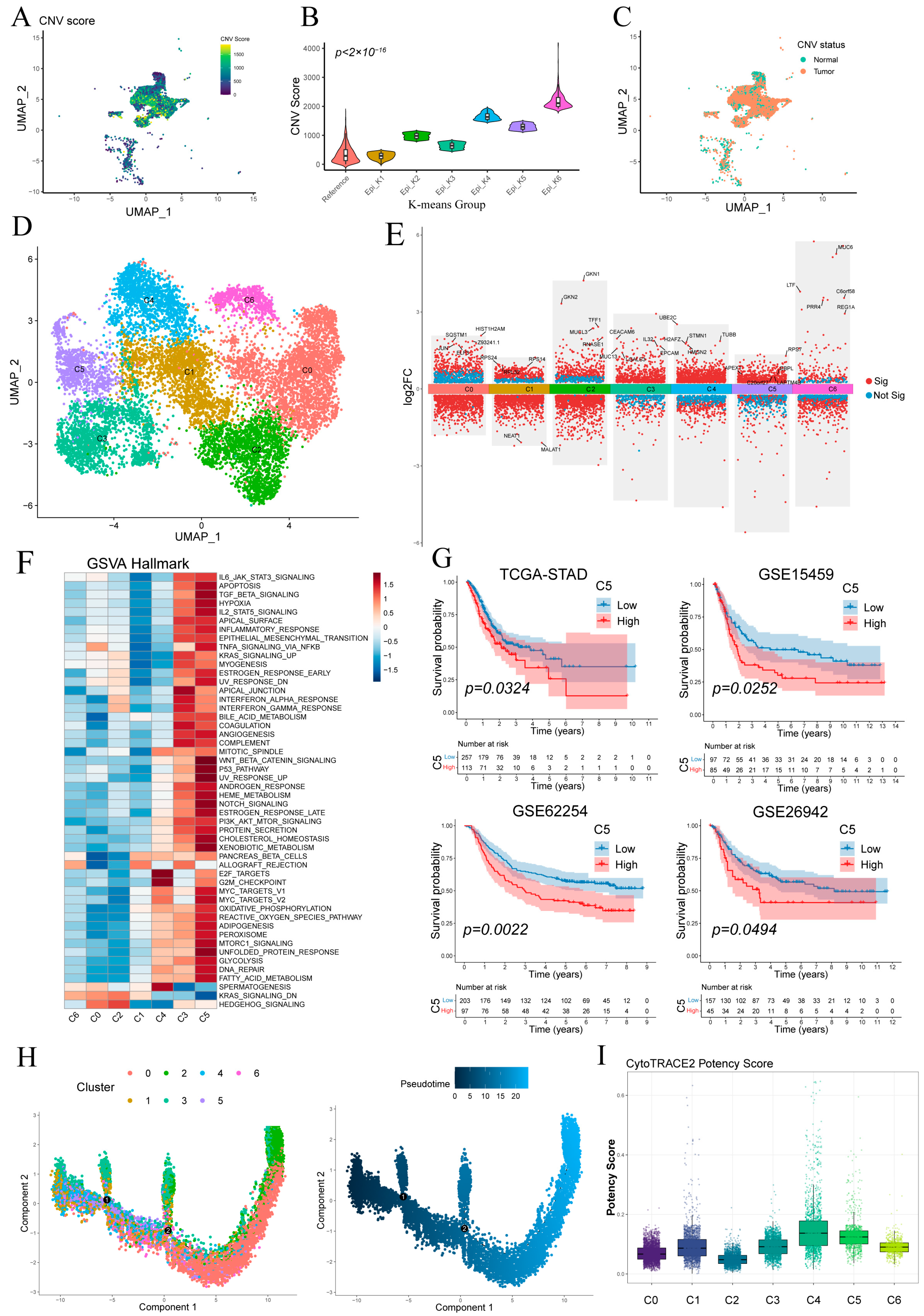 Cancers 17 03483 g003