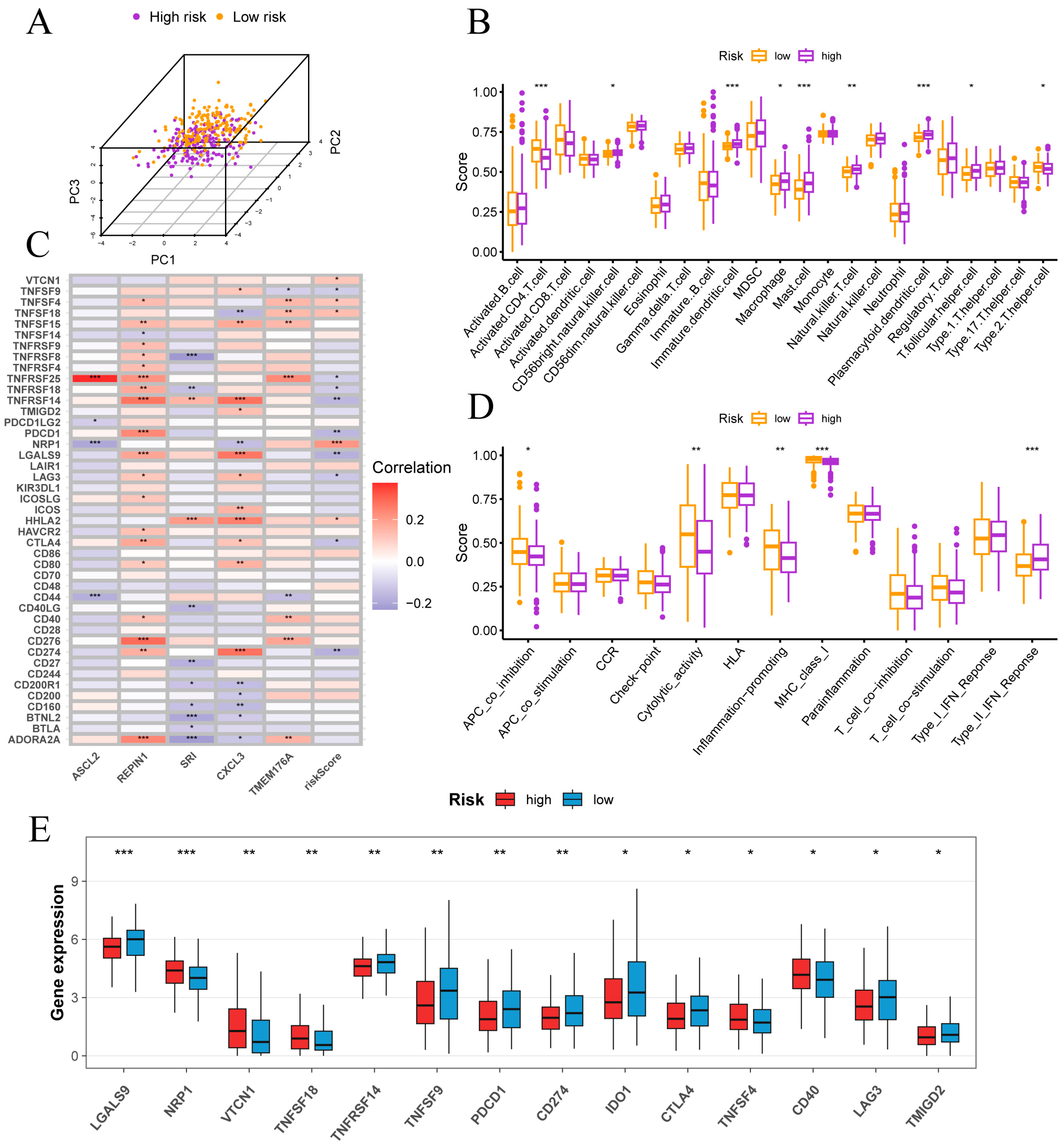 Cancers 17 03483 g007
