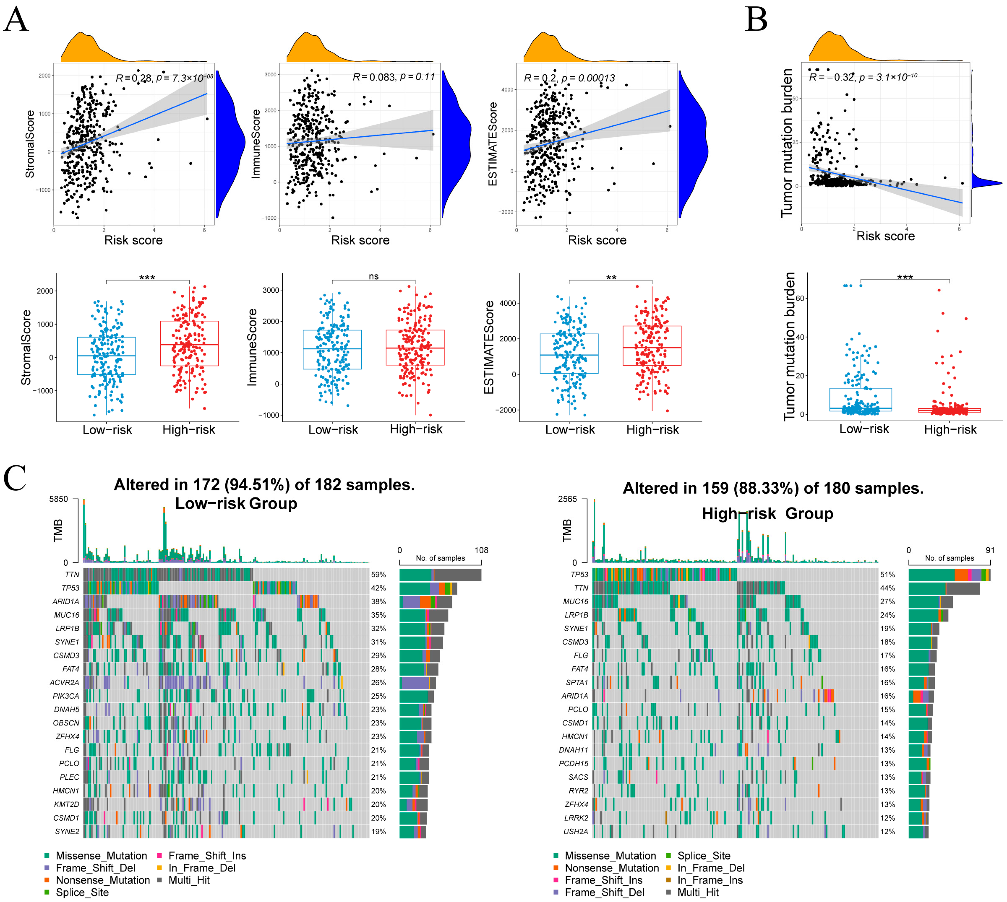 Cancers 17 03483 g008