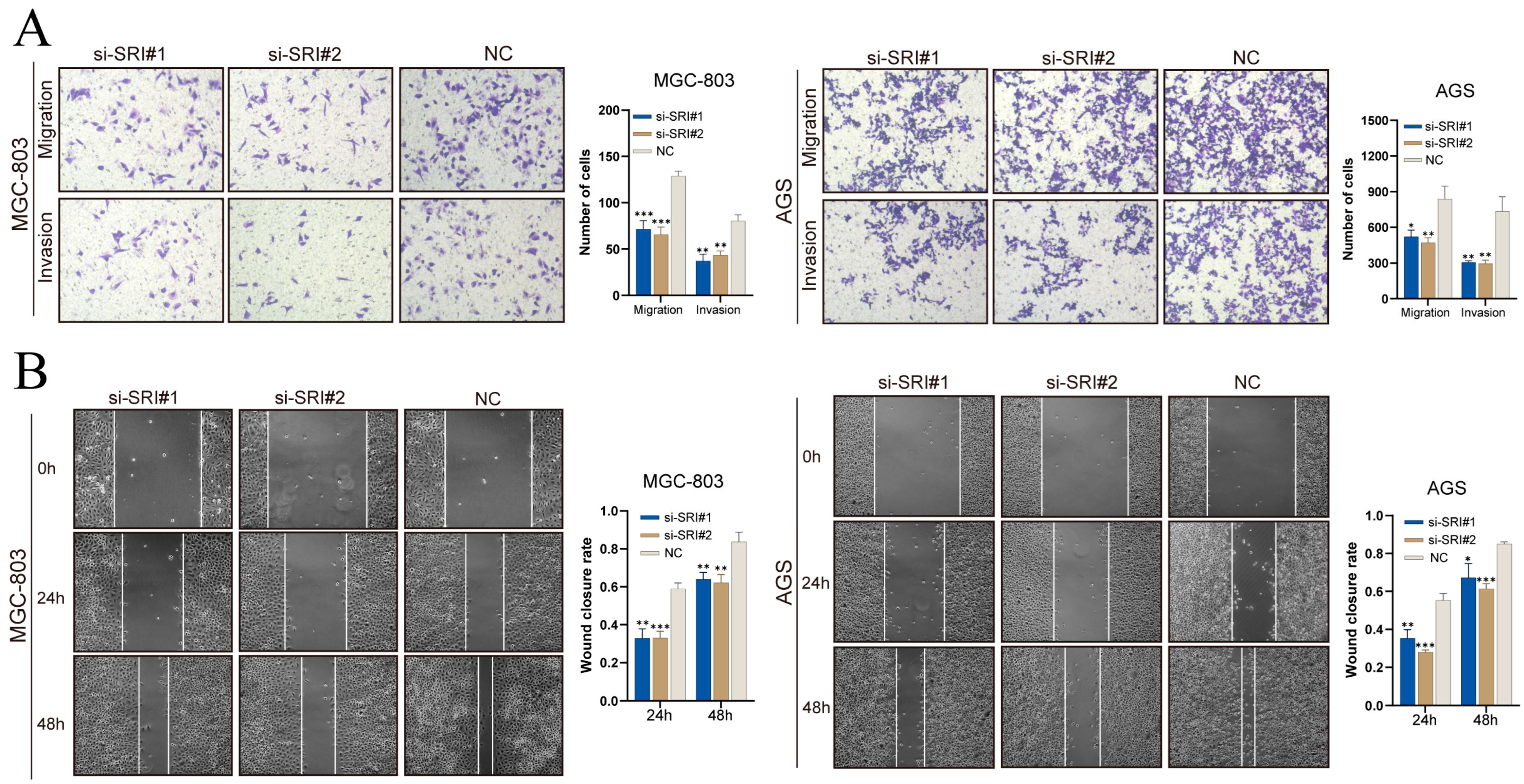 Cancers 17 03483 g012