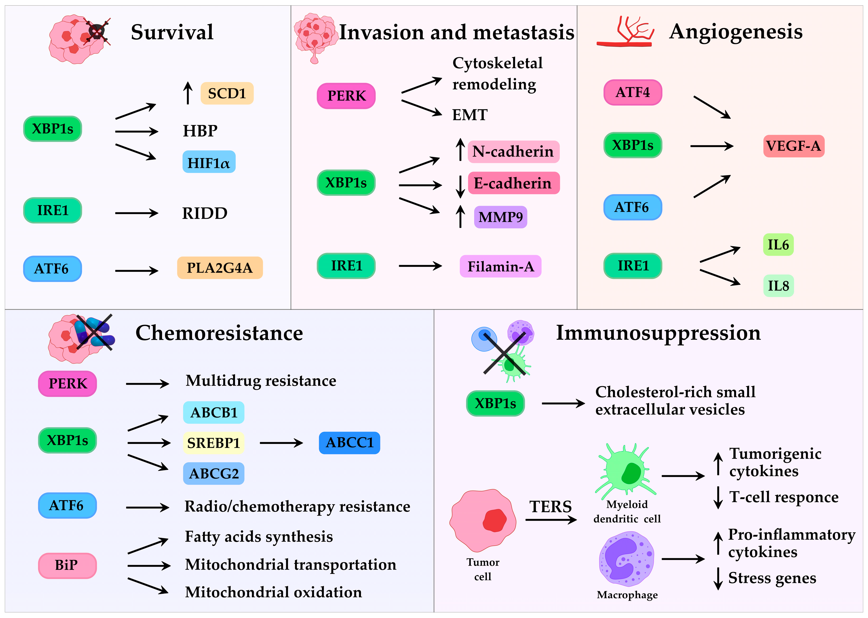 Cancers 17 03489 g002 Cancers 17 03489 g002