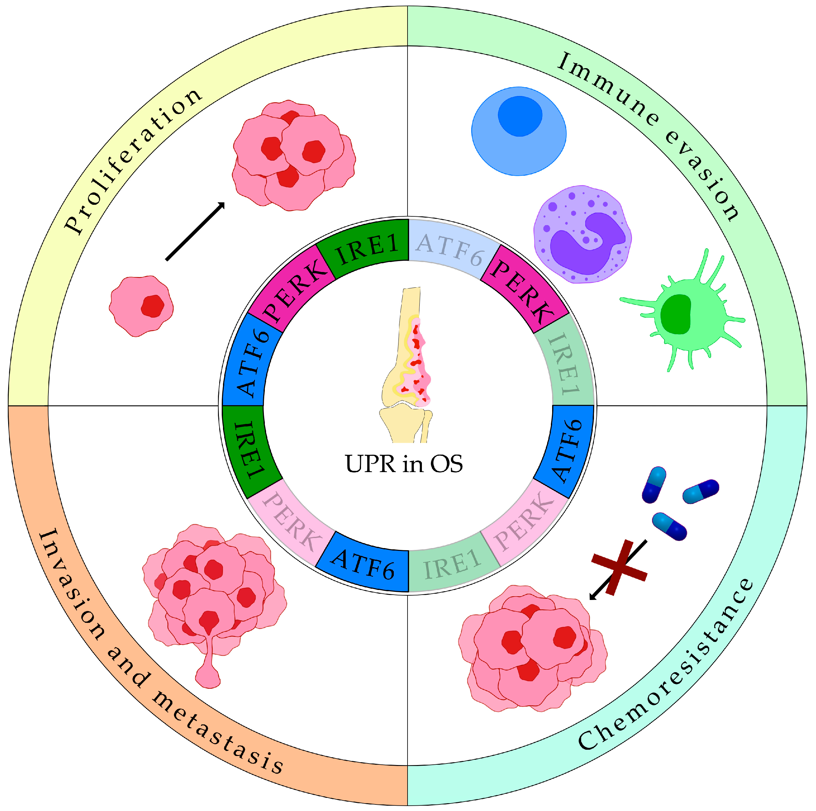 Cancers 17 03489 g003 Cancers 17 03489 g003