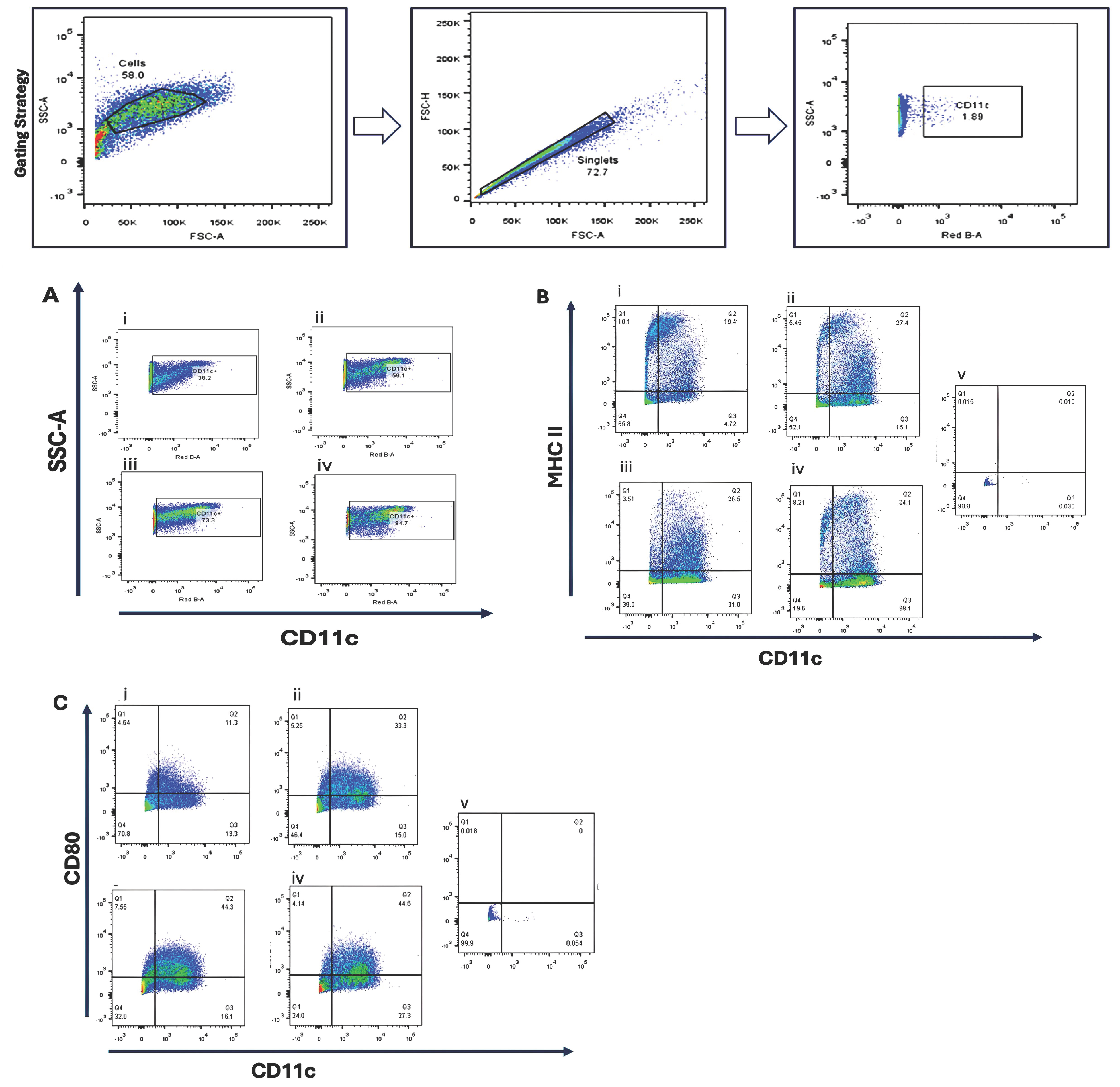 Cancers 17 03497 g001