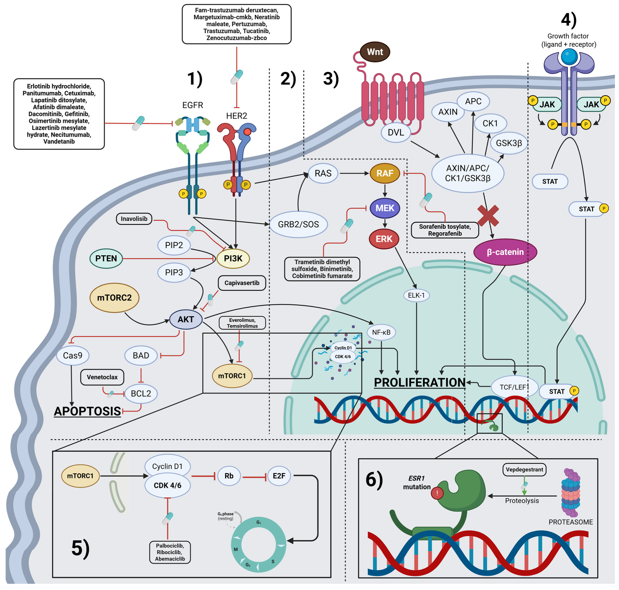 Cancers 17 03500 g001