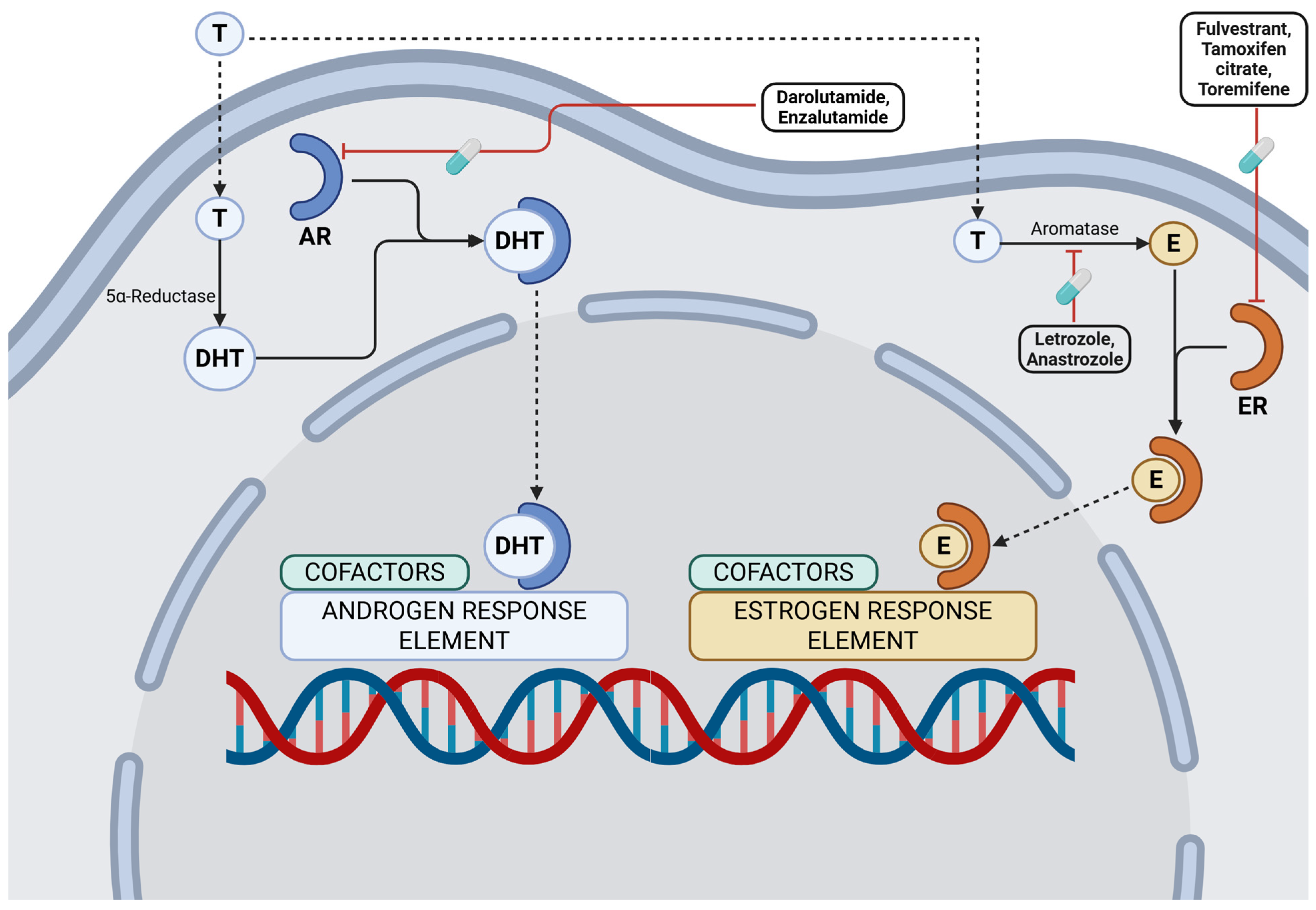Cancers 17 03500 g002