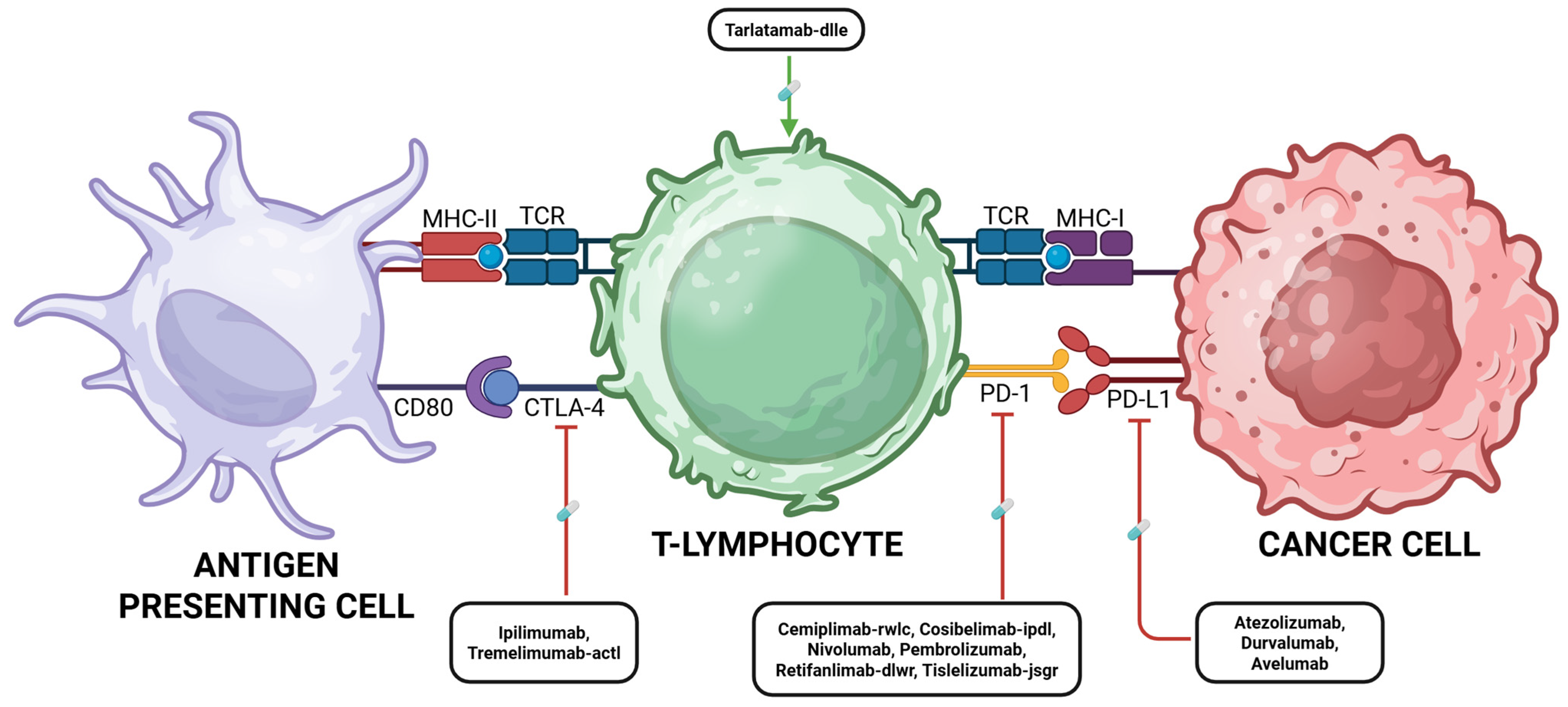 Cancers 17 03500 g003