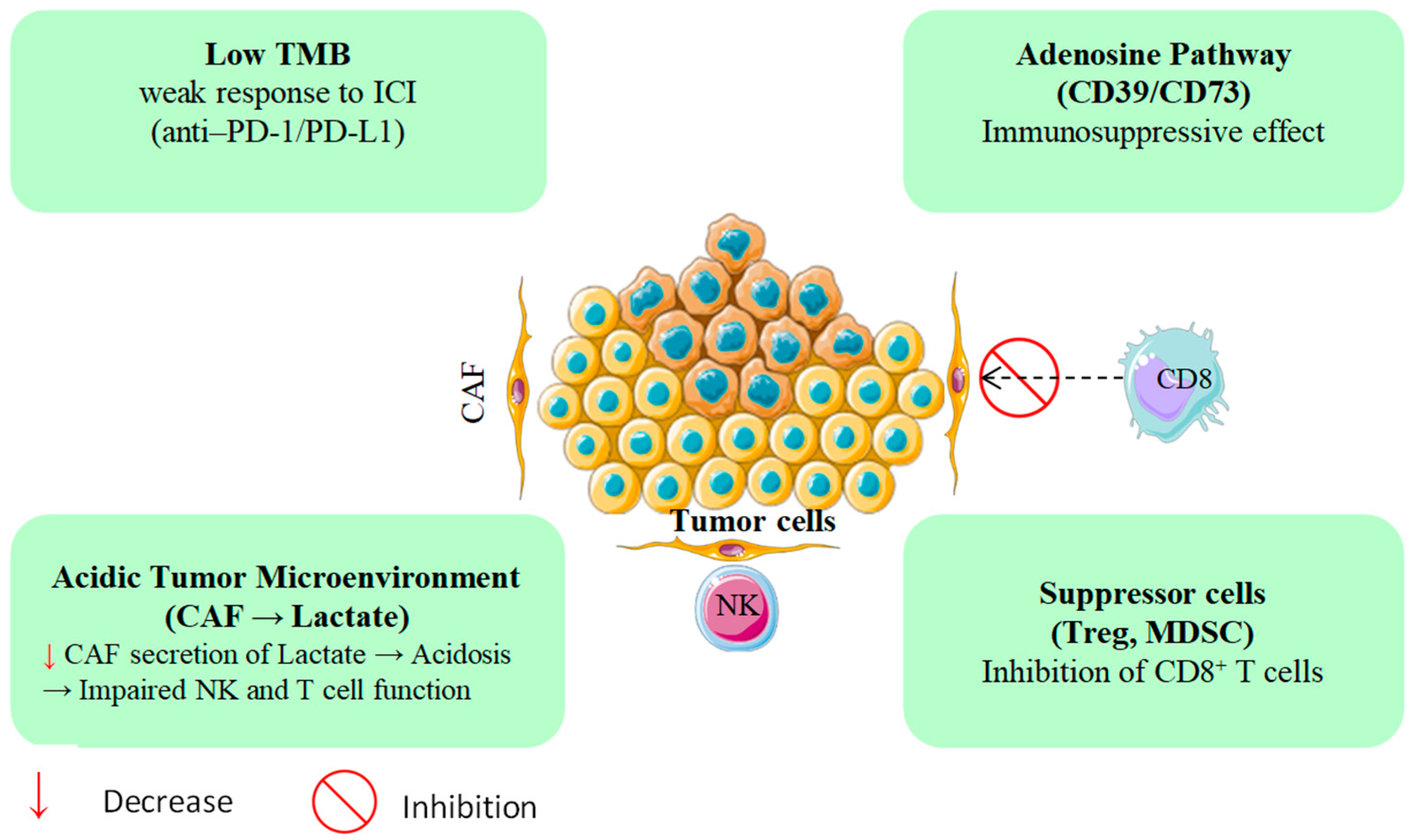 Cancers 17 03506 g001 Cancers 17 03506 g001