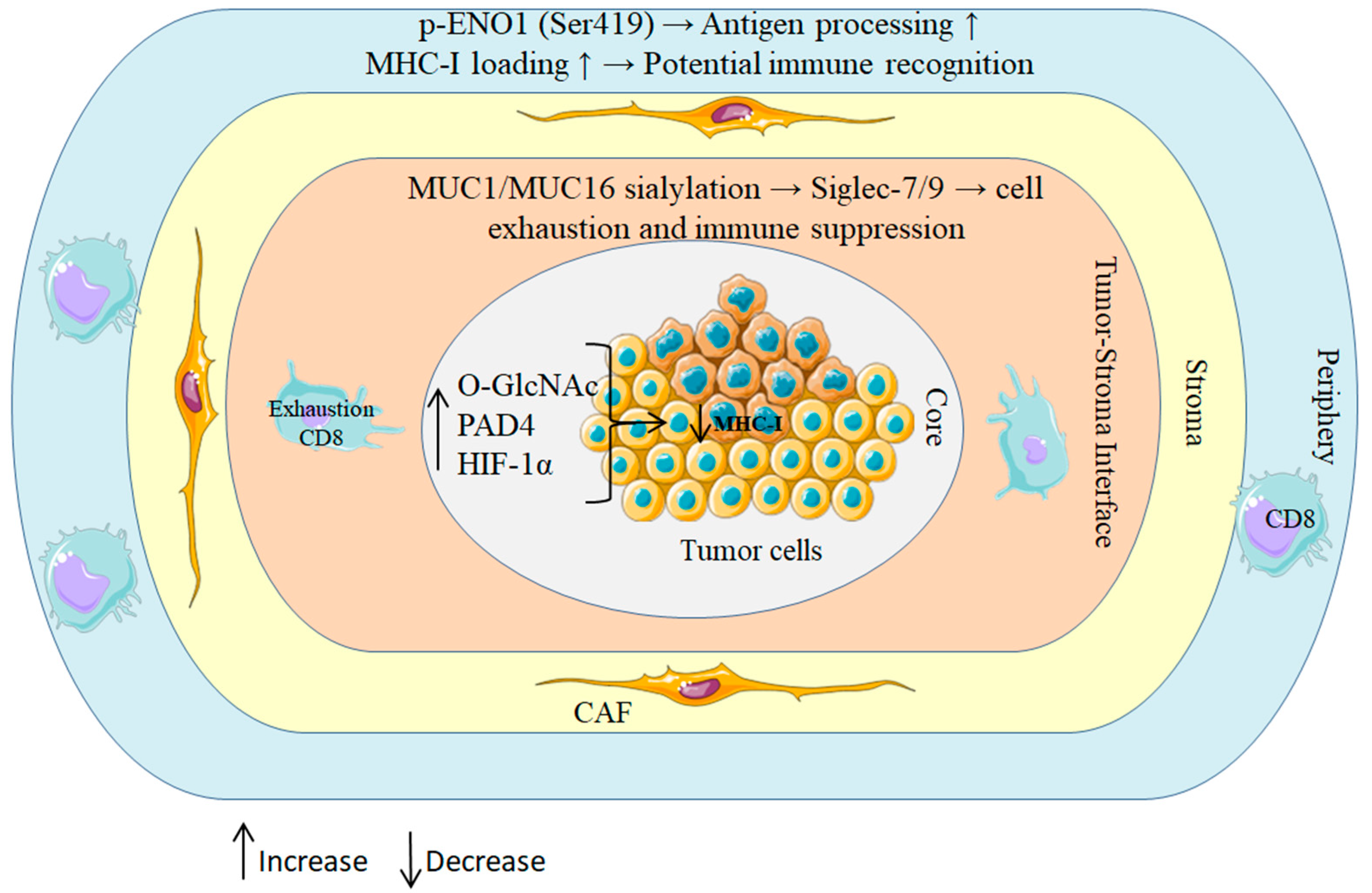Cancers 17 03506 g002 Cancers 17 03506 g002