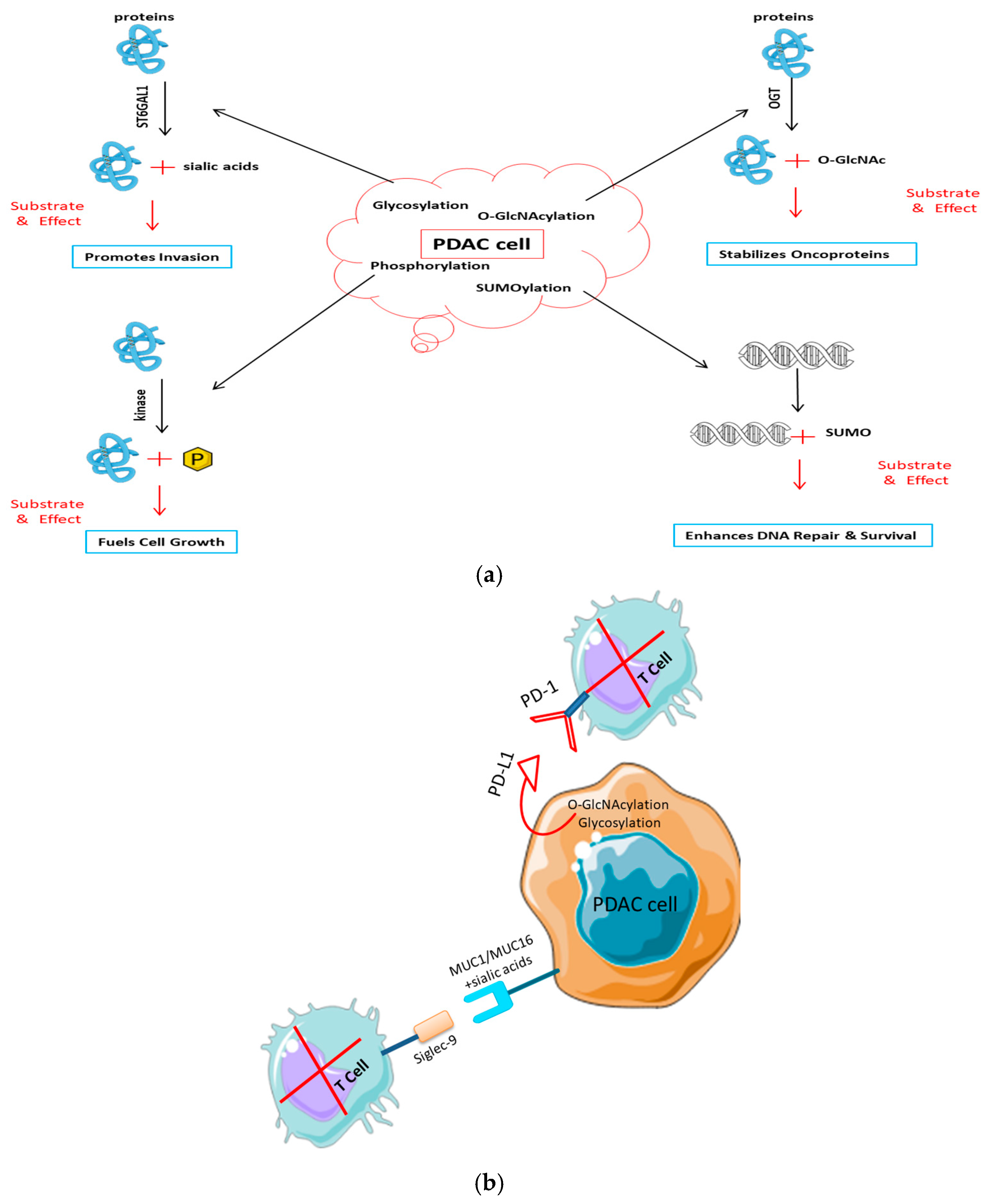 Cancers 17 03506 g003 Cancers 17 03506 g003