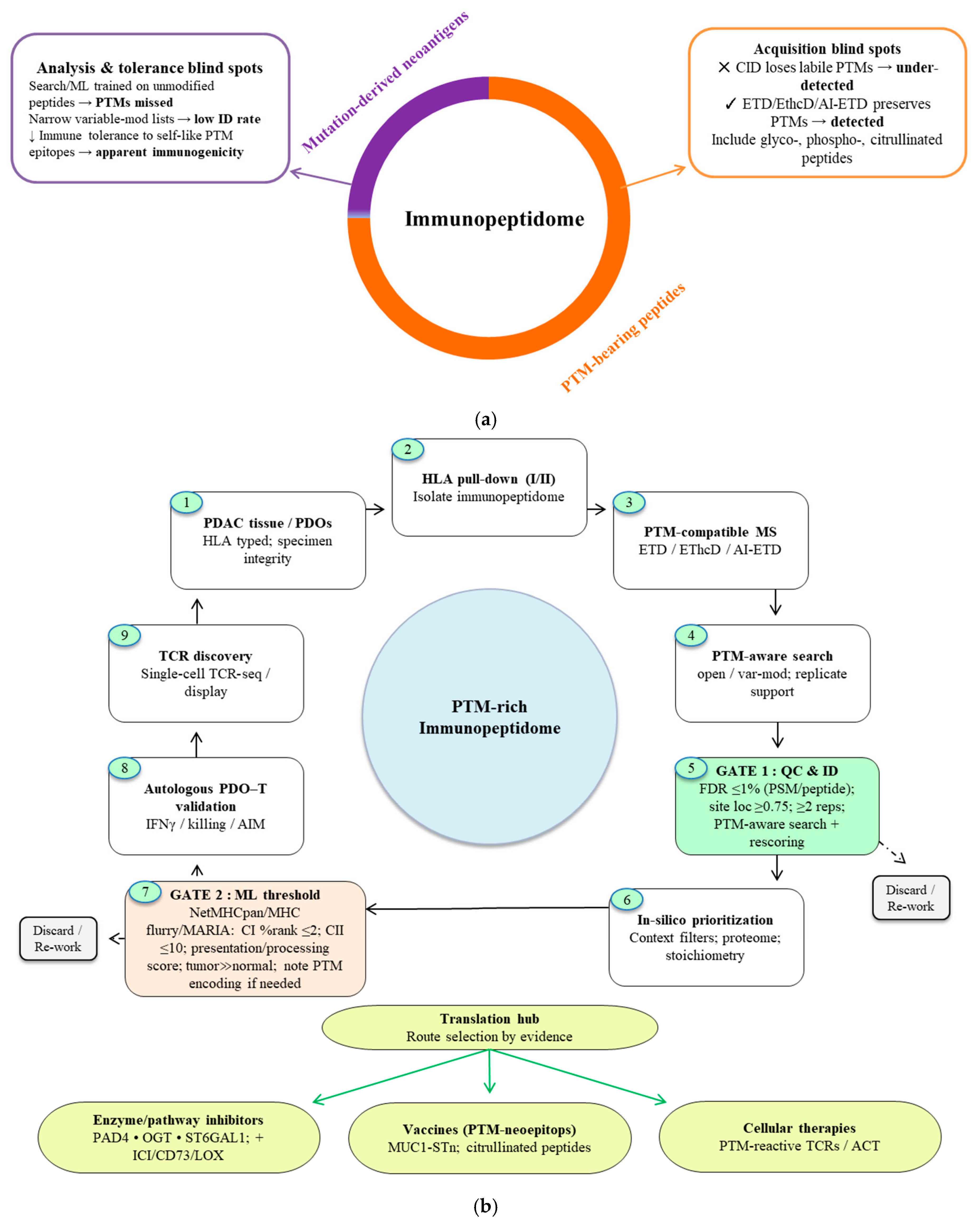 Cancers 17 03506 g004 Cancers 17 03506 g004