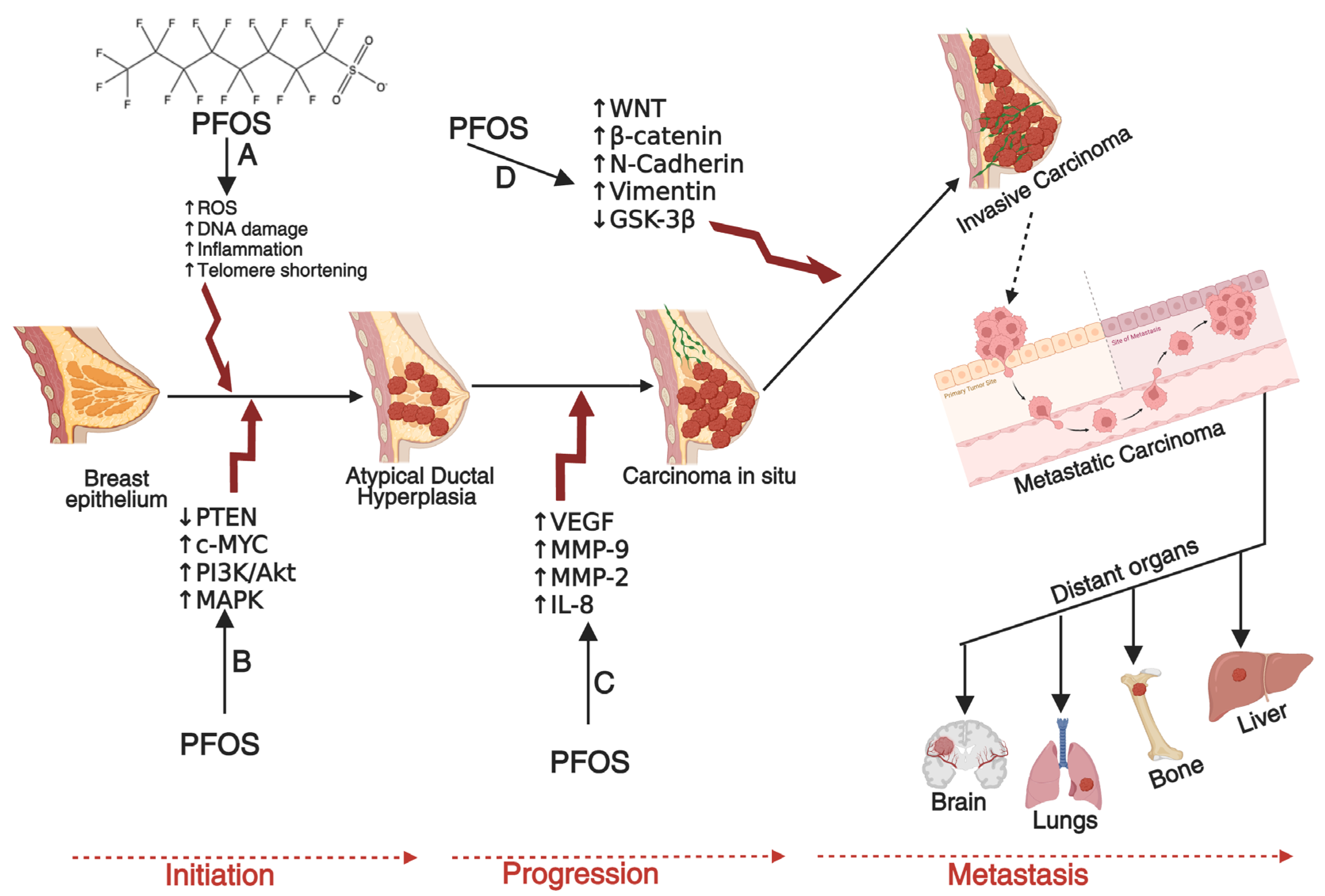Cancers 17 03507 g003 Cancers 17 03507 g003