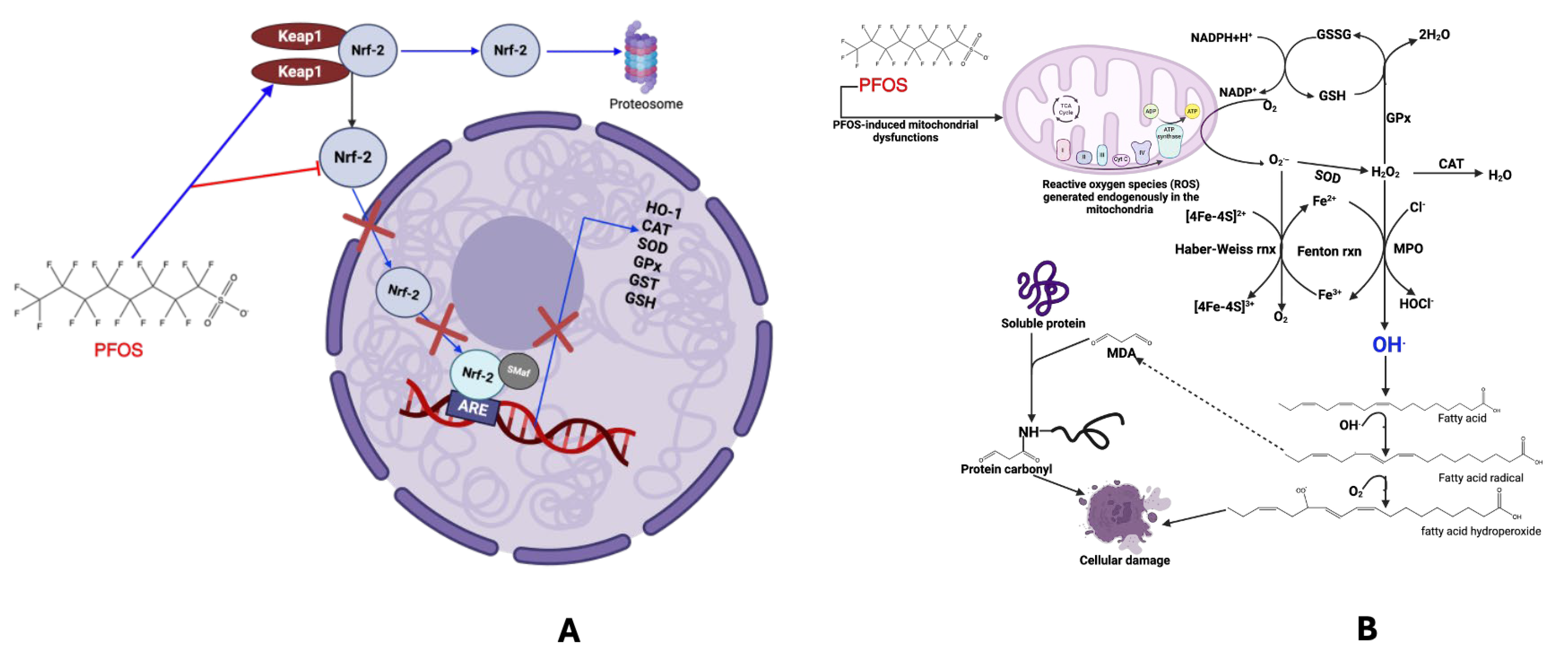 Cancers 17 03507 g007 Cancers 17 03507 g007